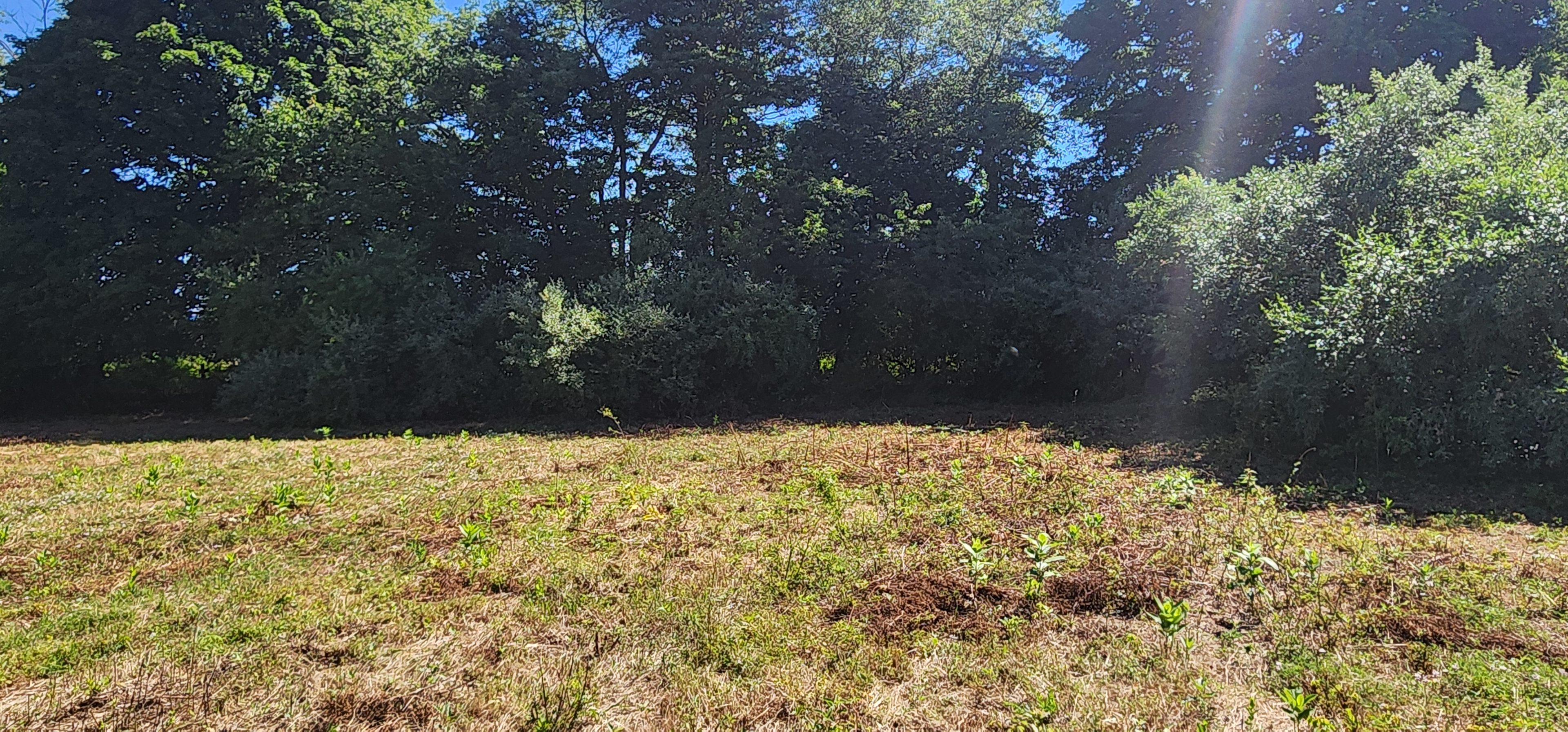 33 Acre Farm And Retreat