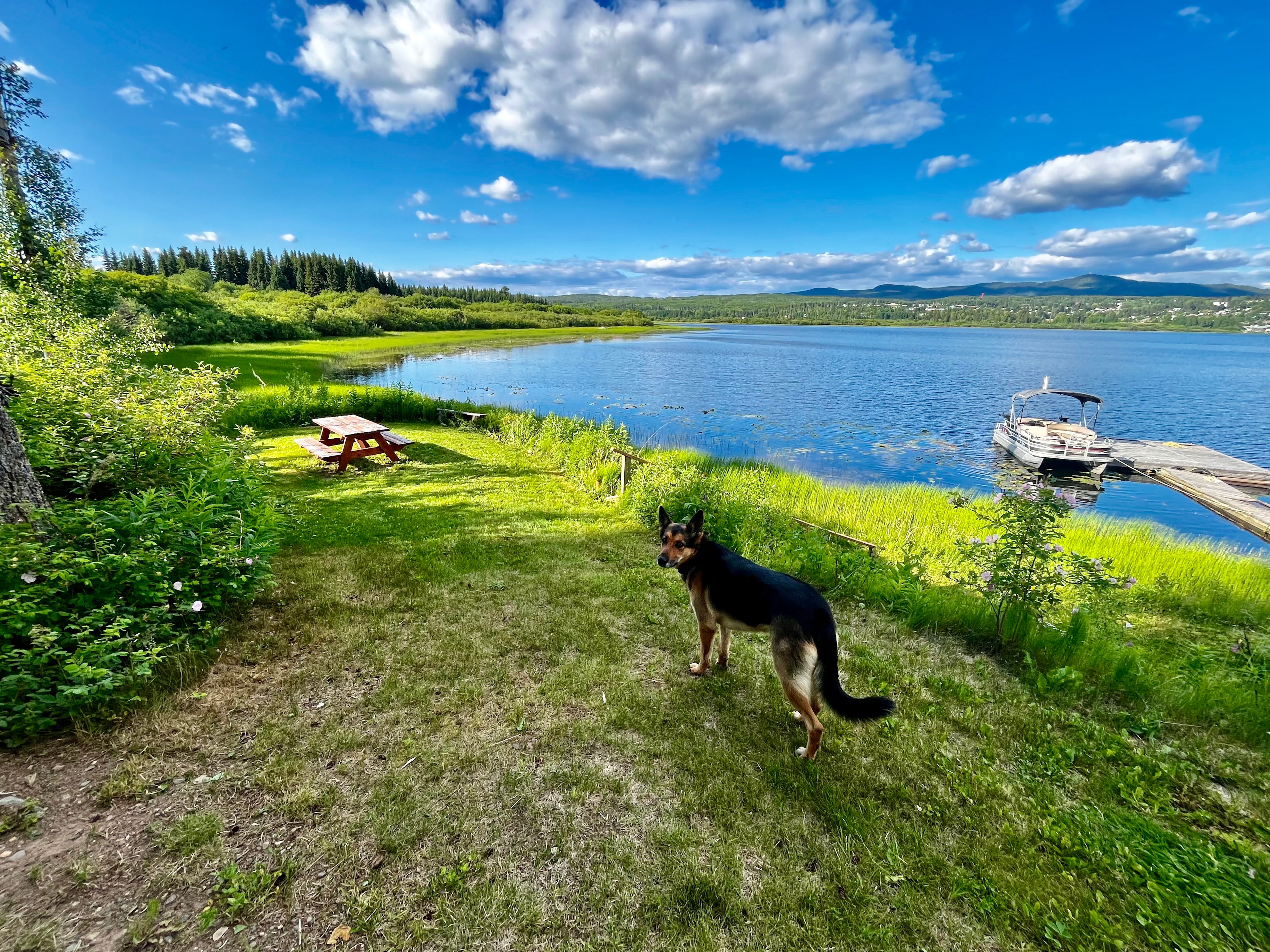 Tent site and dock.