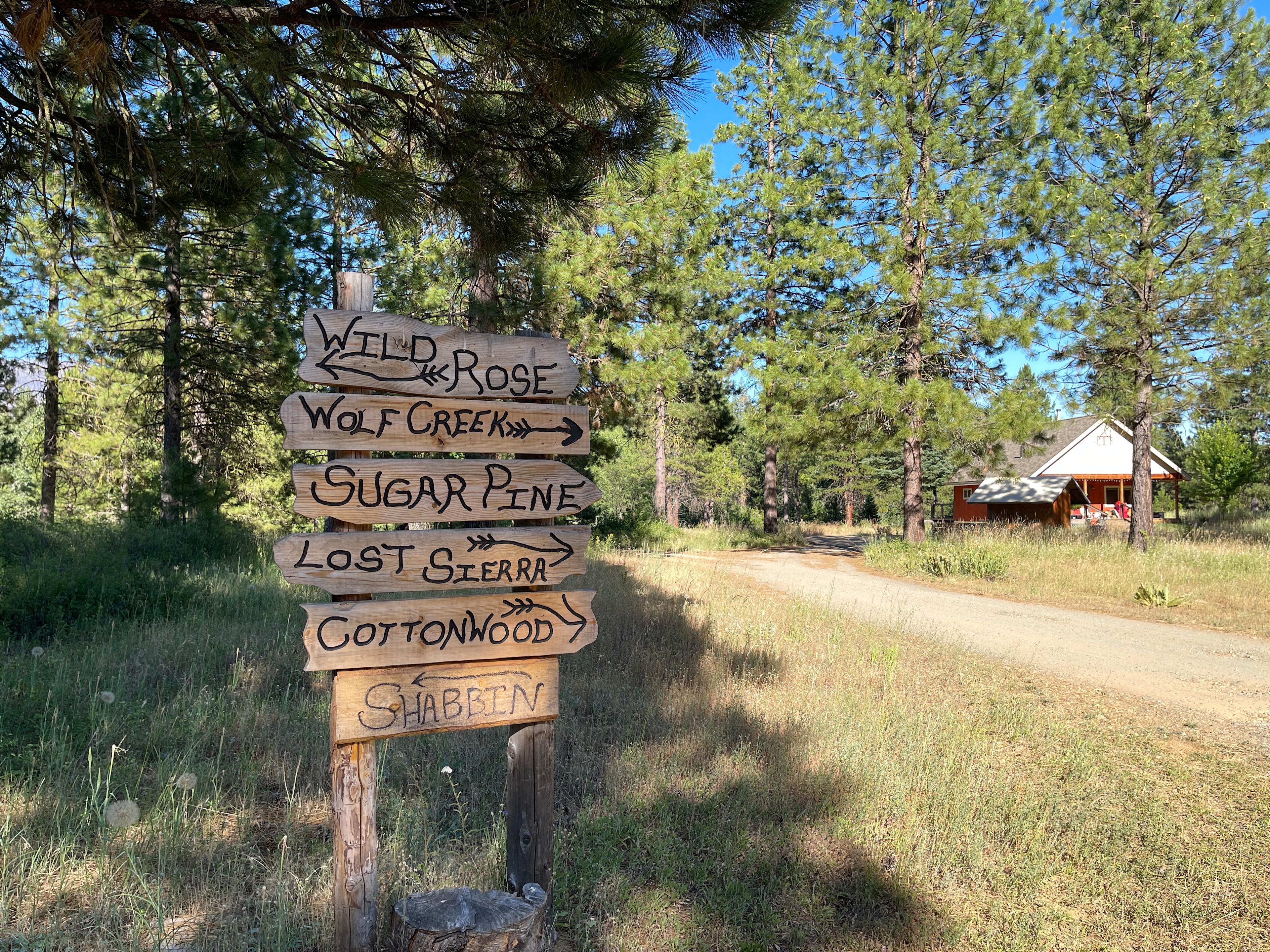 Wild Plumas California