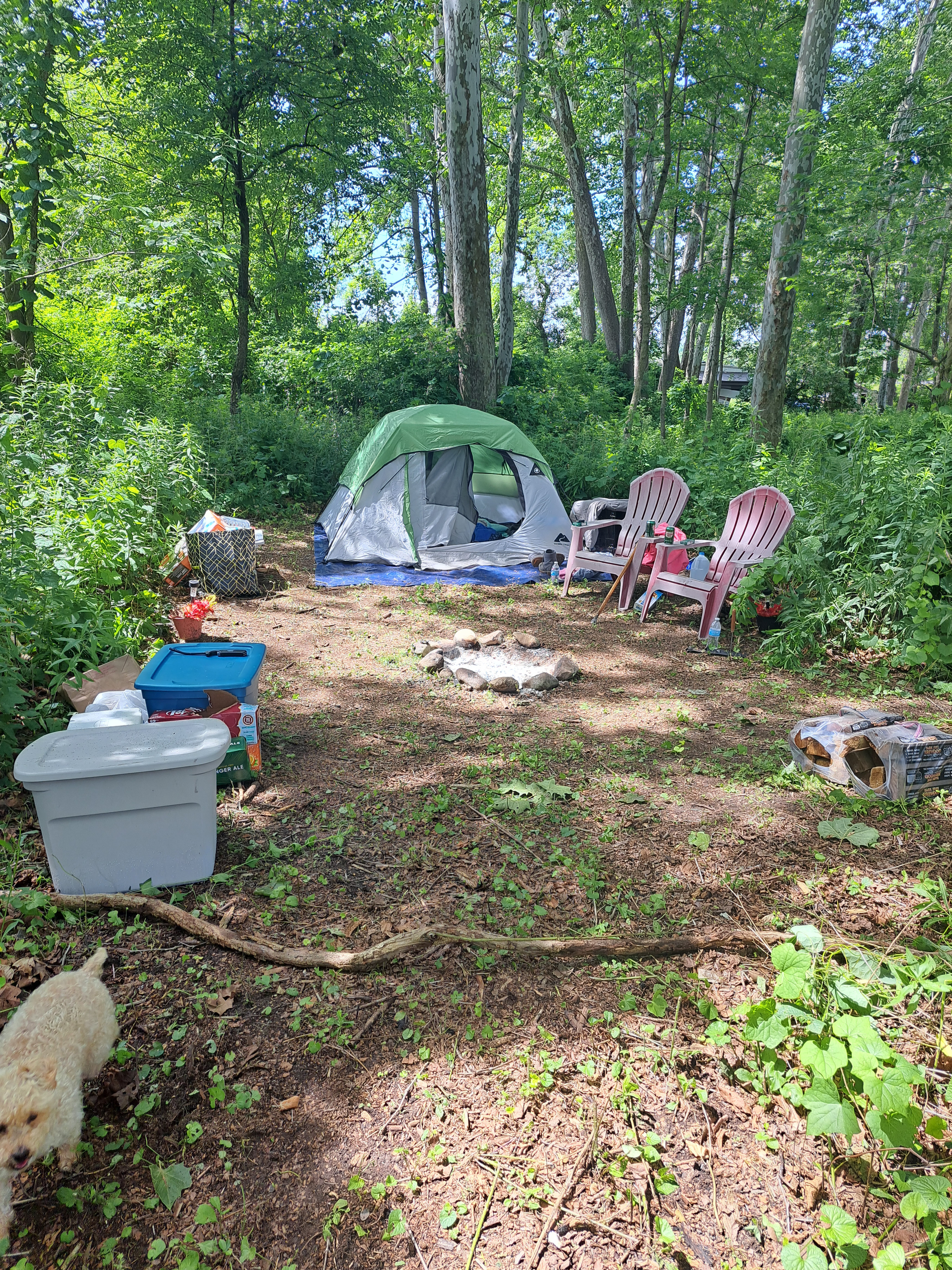 Campcreeklife
