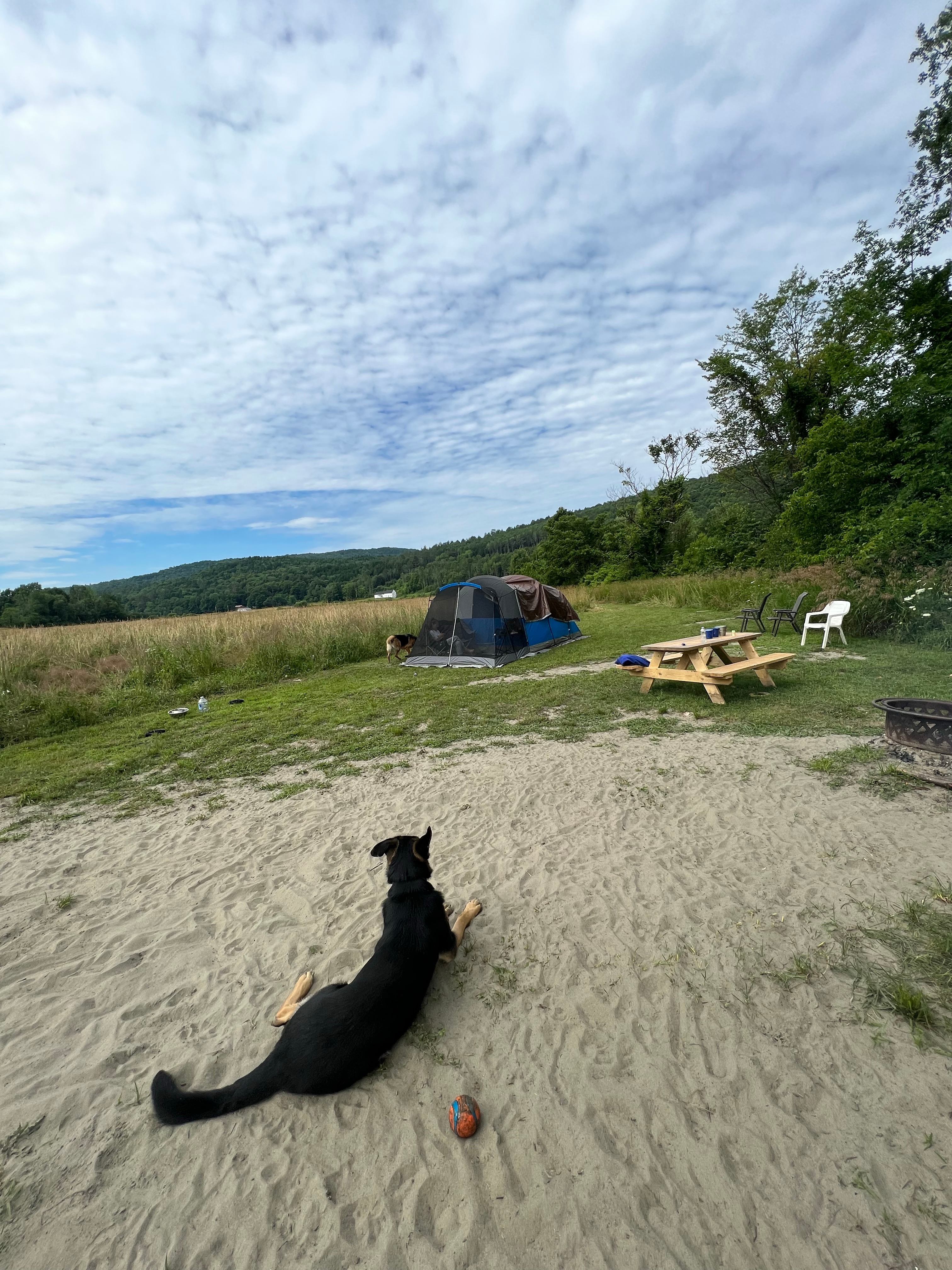Pike on the campsite