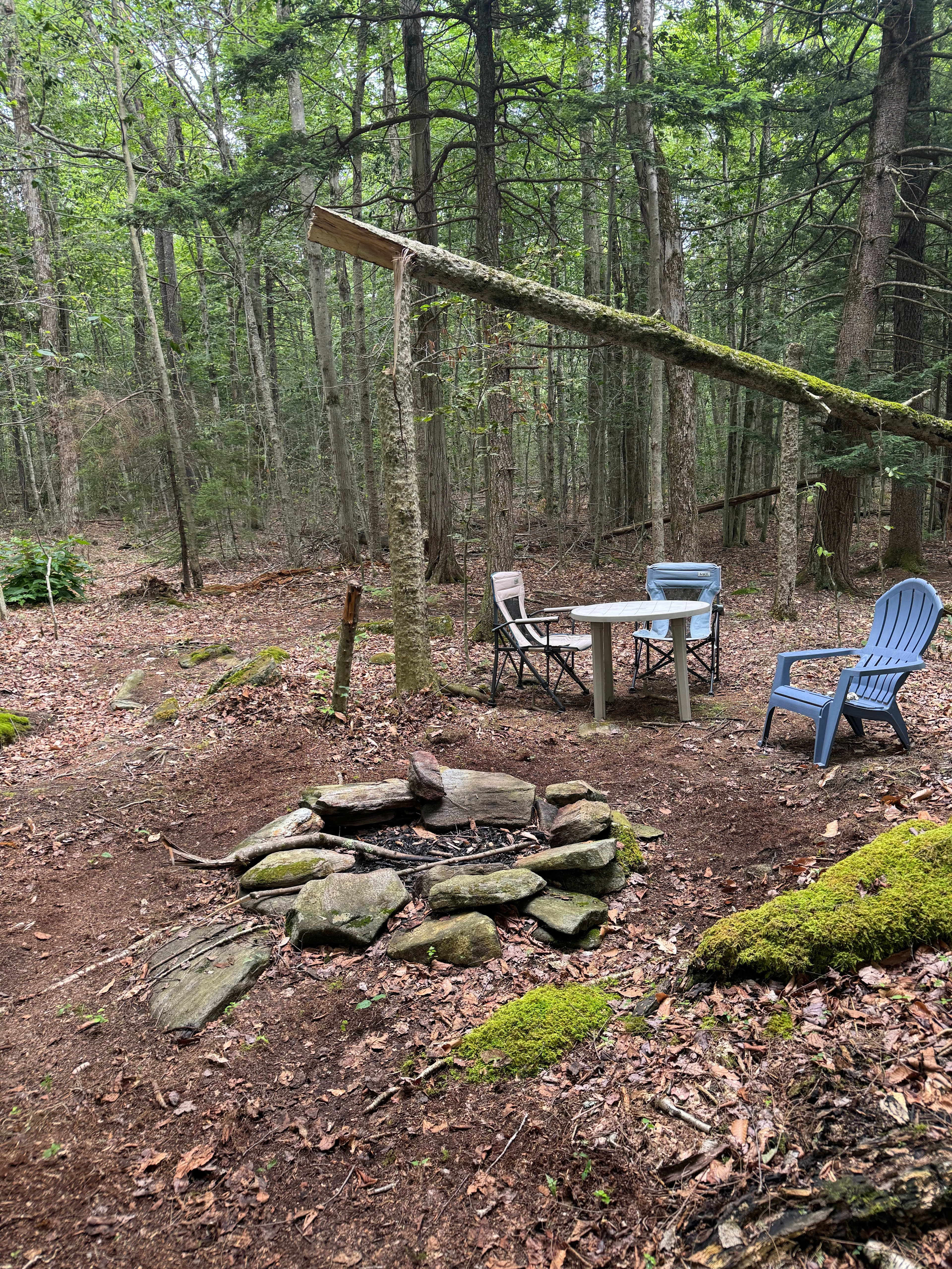 Mount Airy Hill