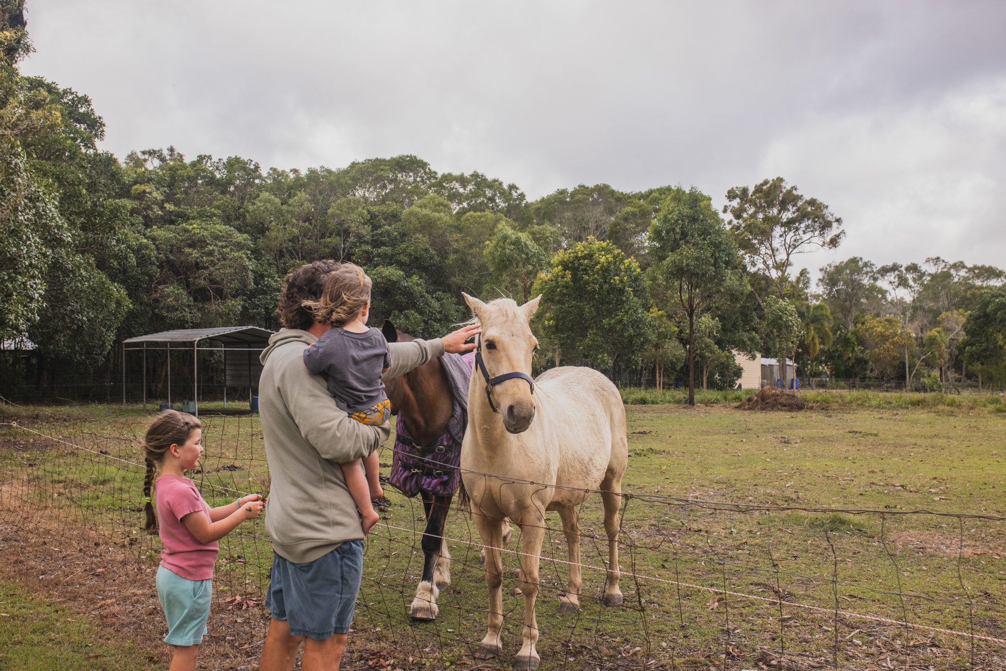 Kids loved petting the horses every day