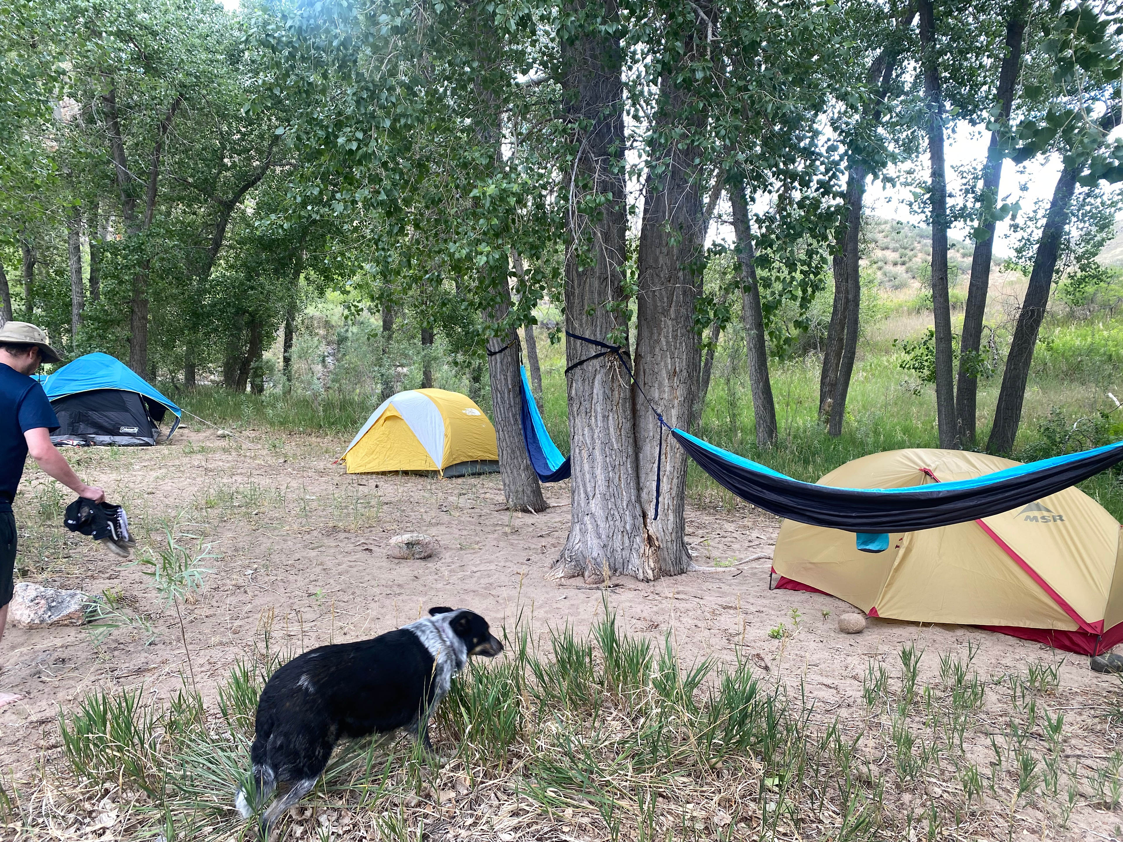 Basecamp On The Poudre