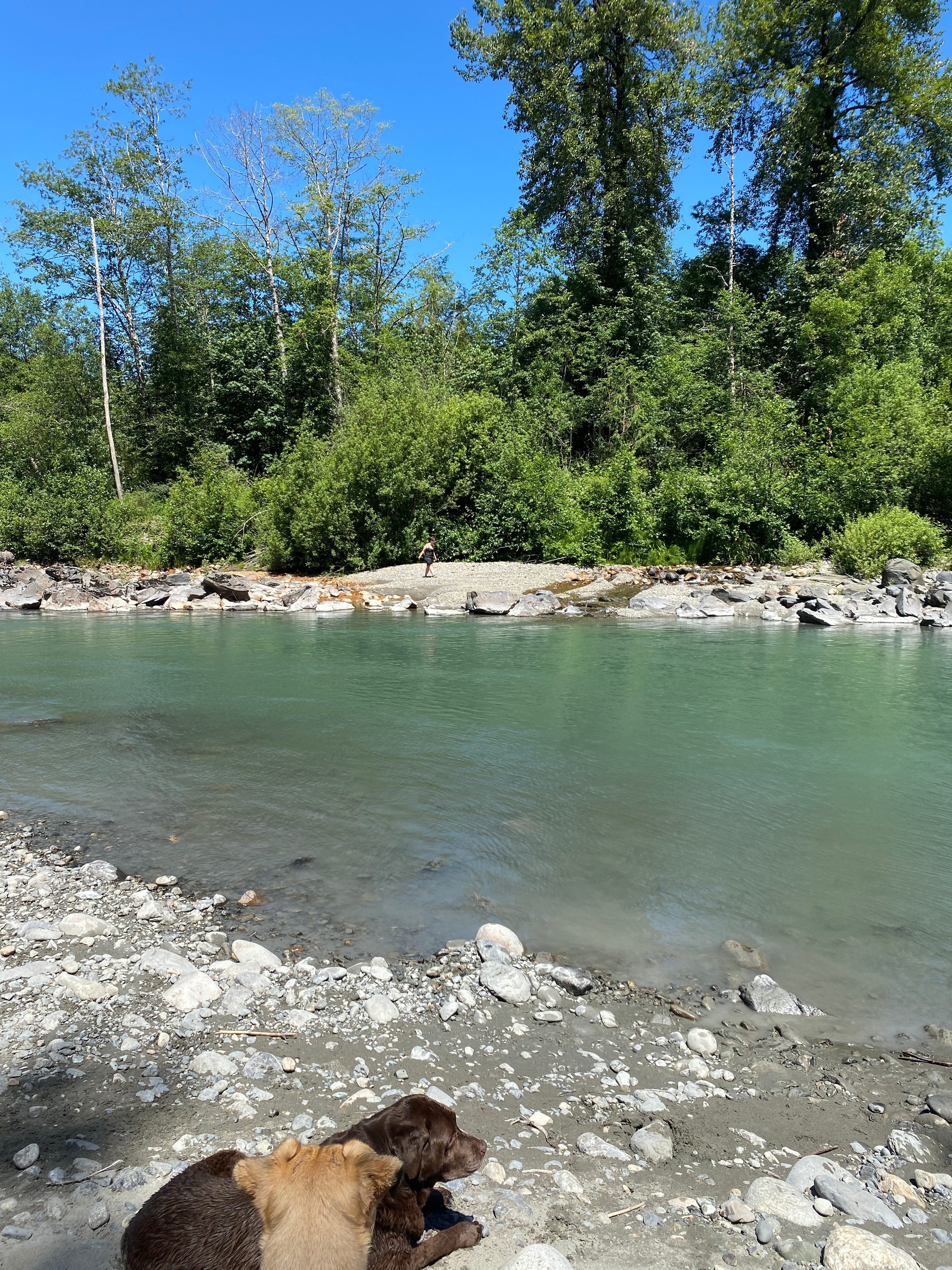 Electric Blue Lady's Land'