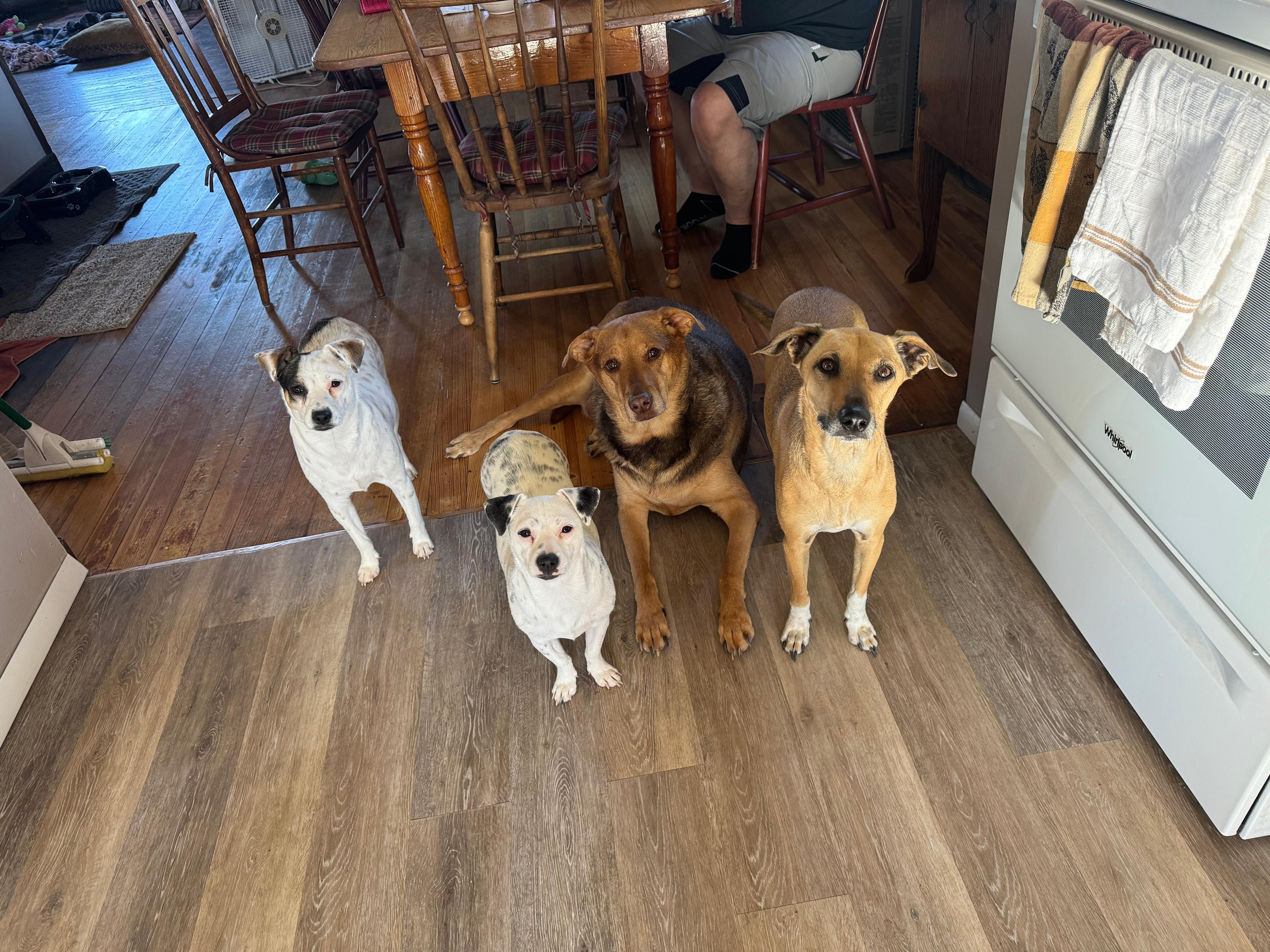 Little Buffalo Cabin