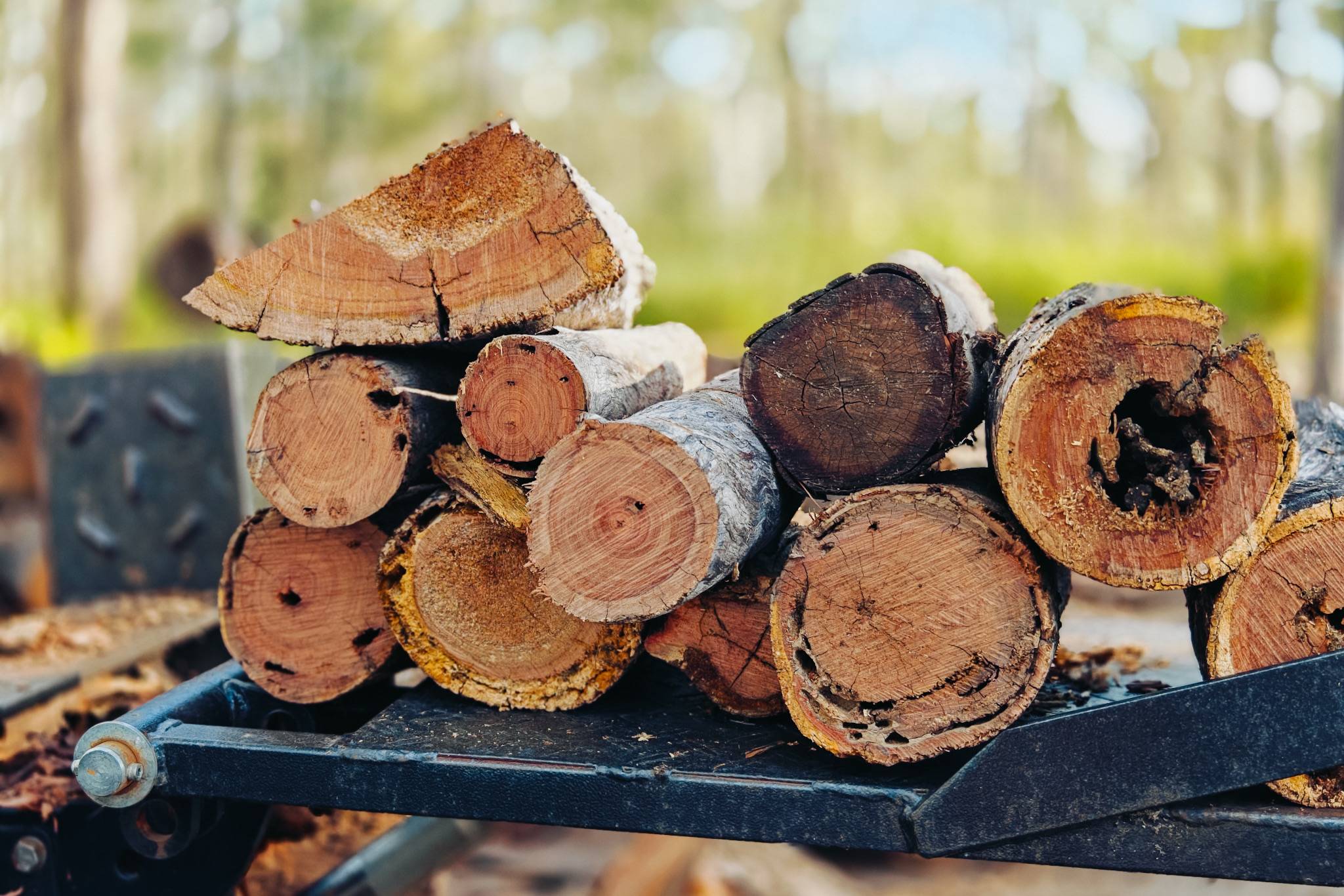 You can purchase wood for a cozy night by the campfire.🪵🔥