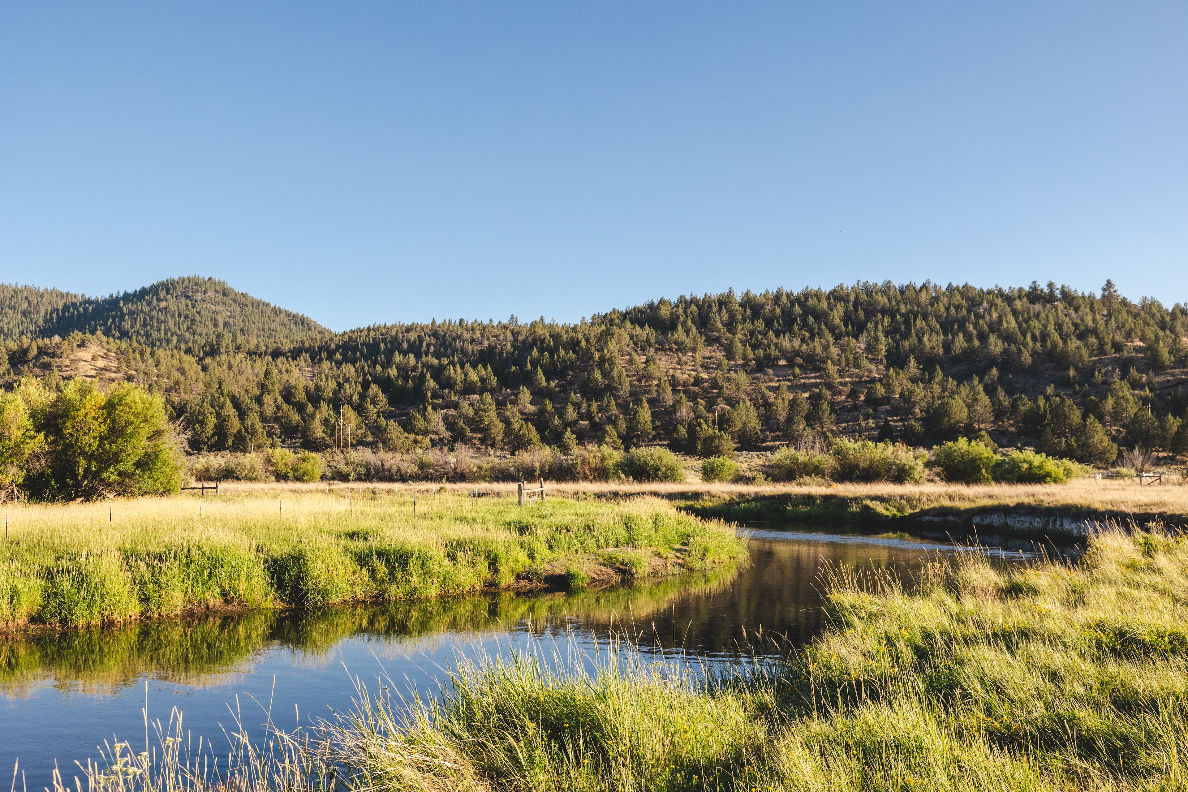 views on the walk from the site to the river
