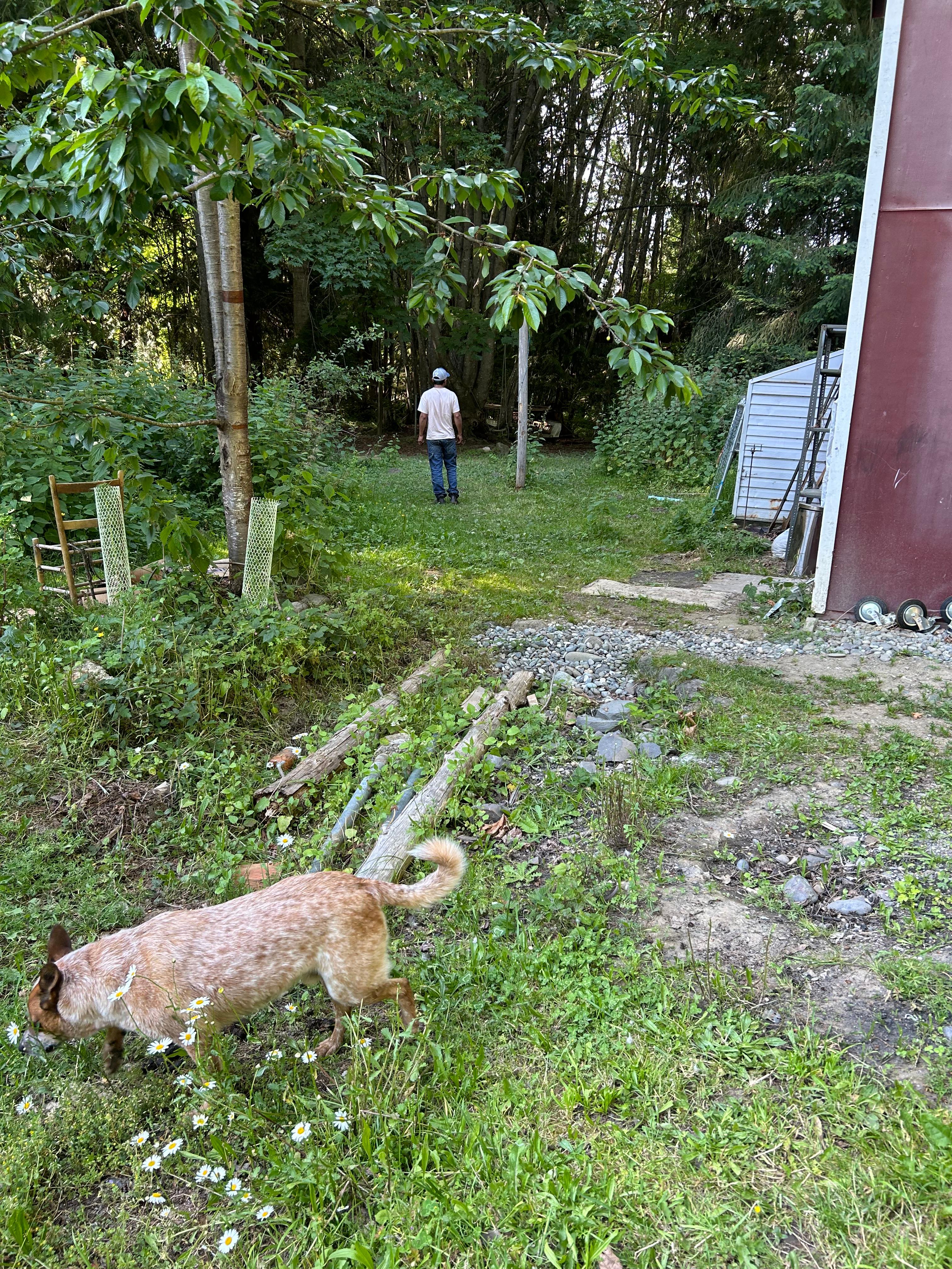 Goodtopia Farm Explore & Restore