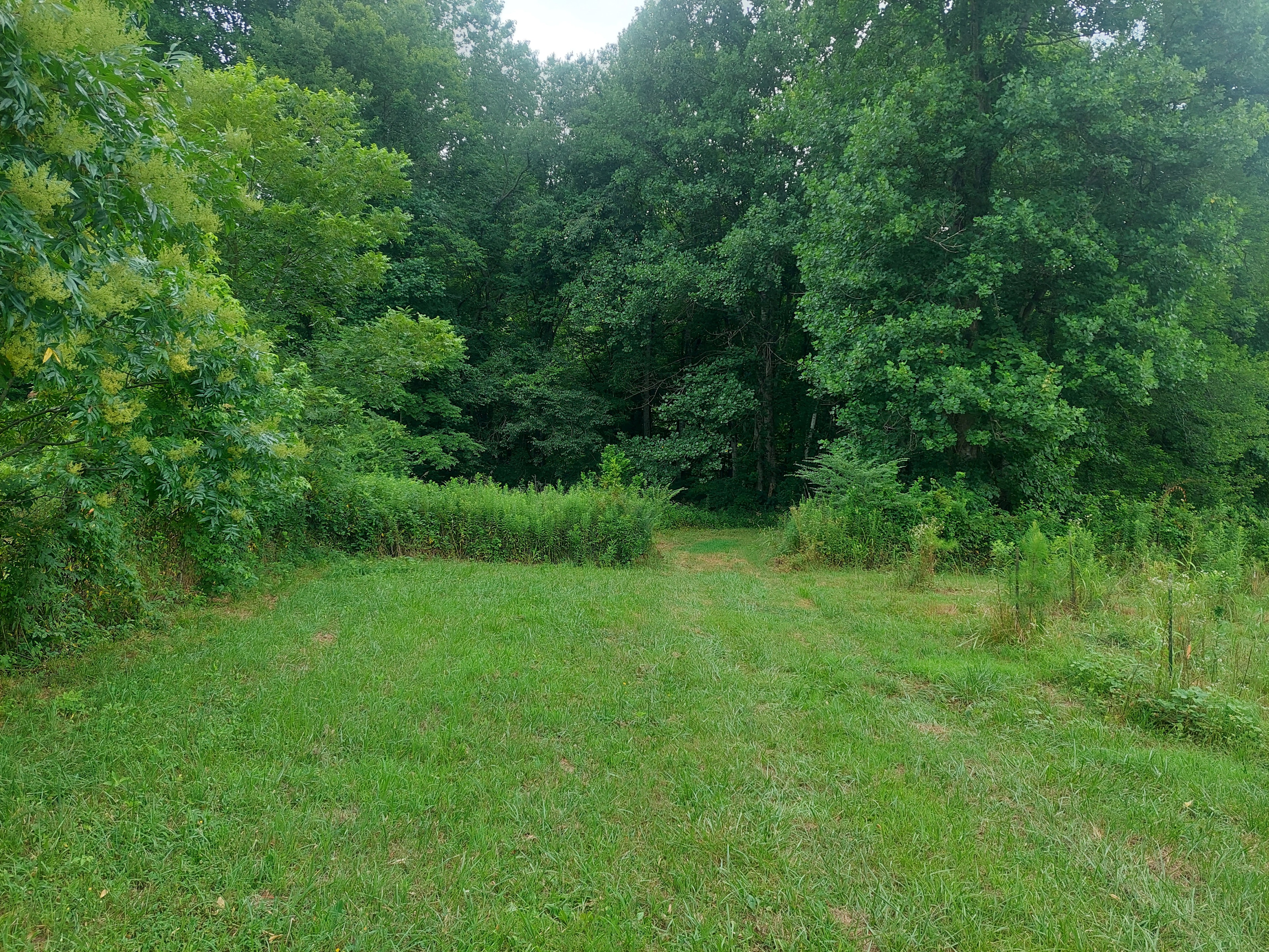 Oak Leaf Hills