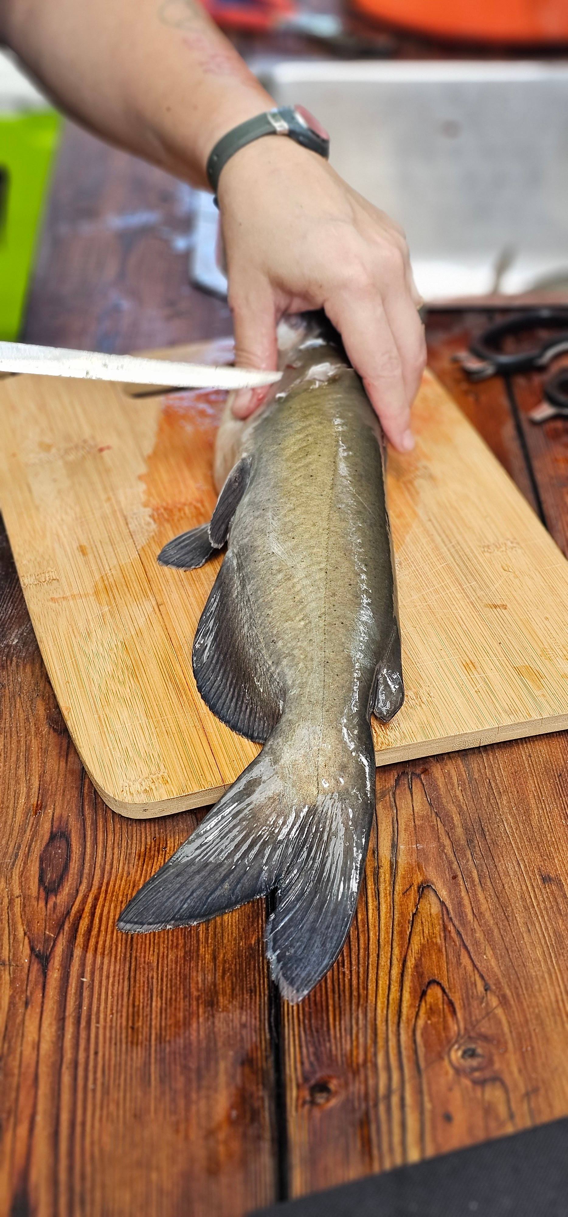 Glamping at River Run