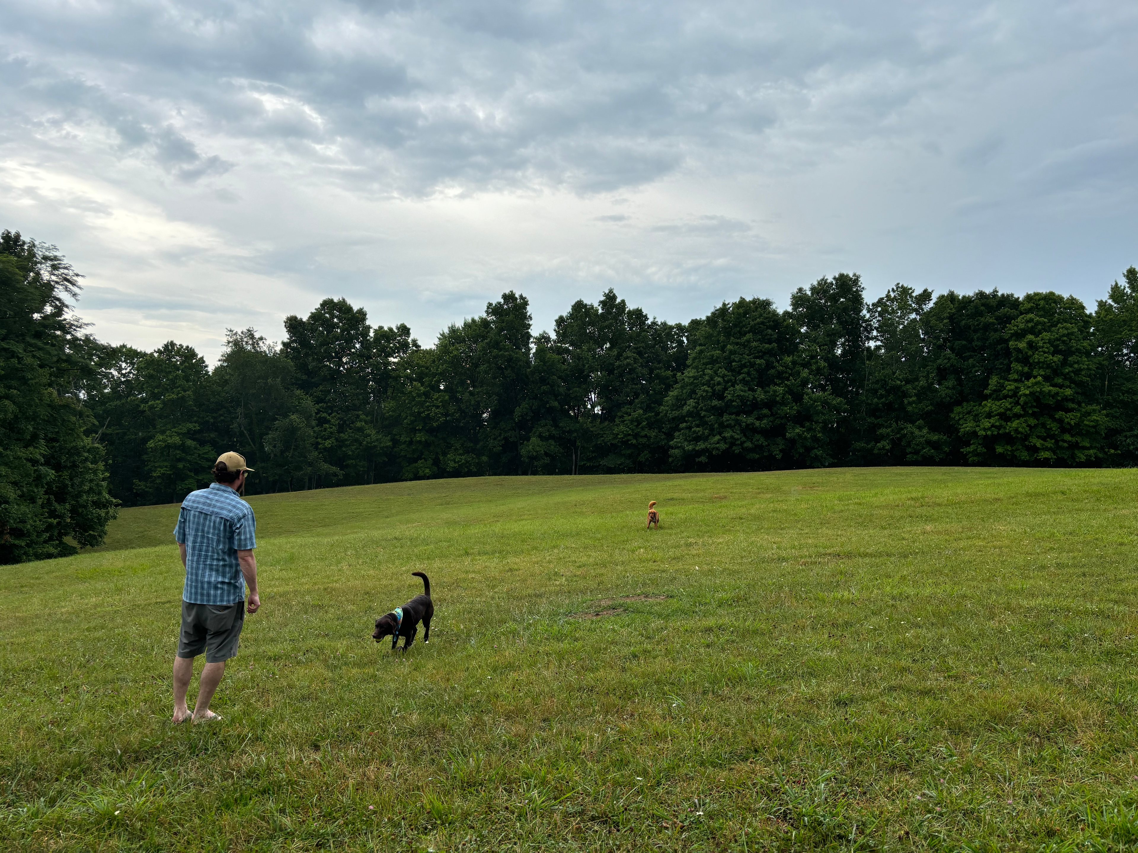 Starry Nights New River Gorge