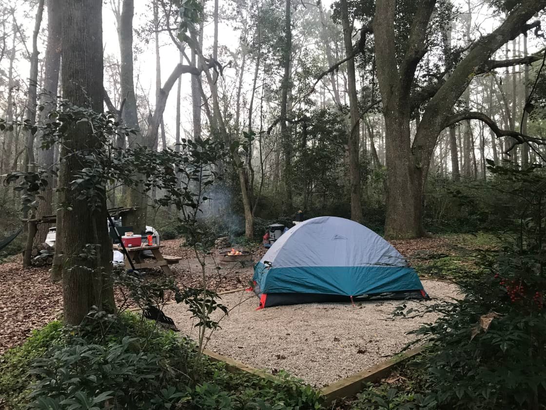 Magnolia Mountain