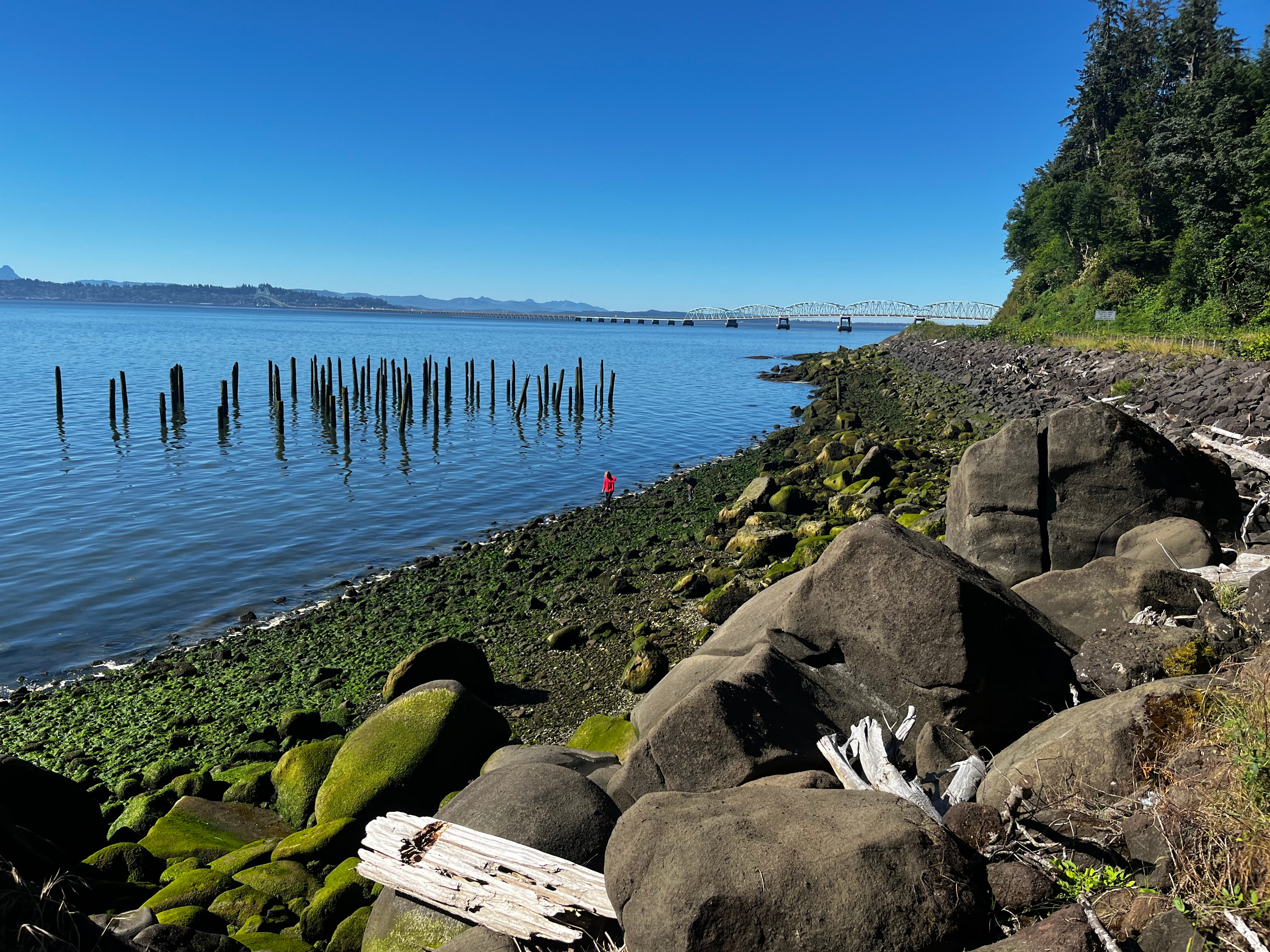Exploring low tide