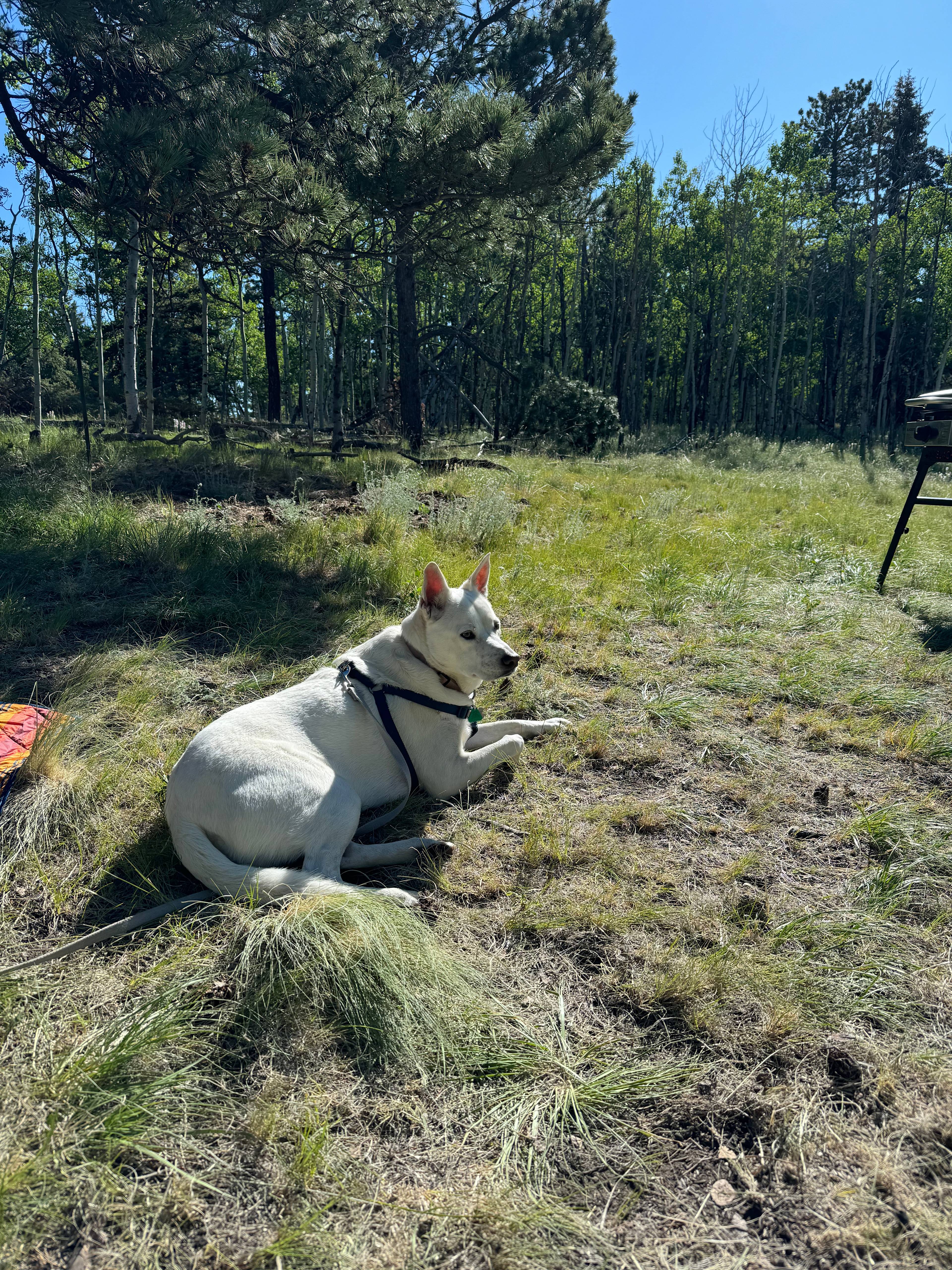 Aspen Valley Campground