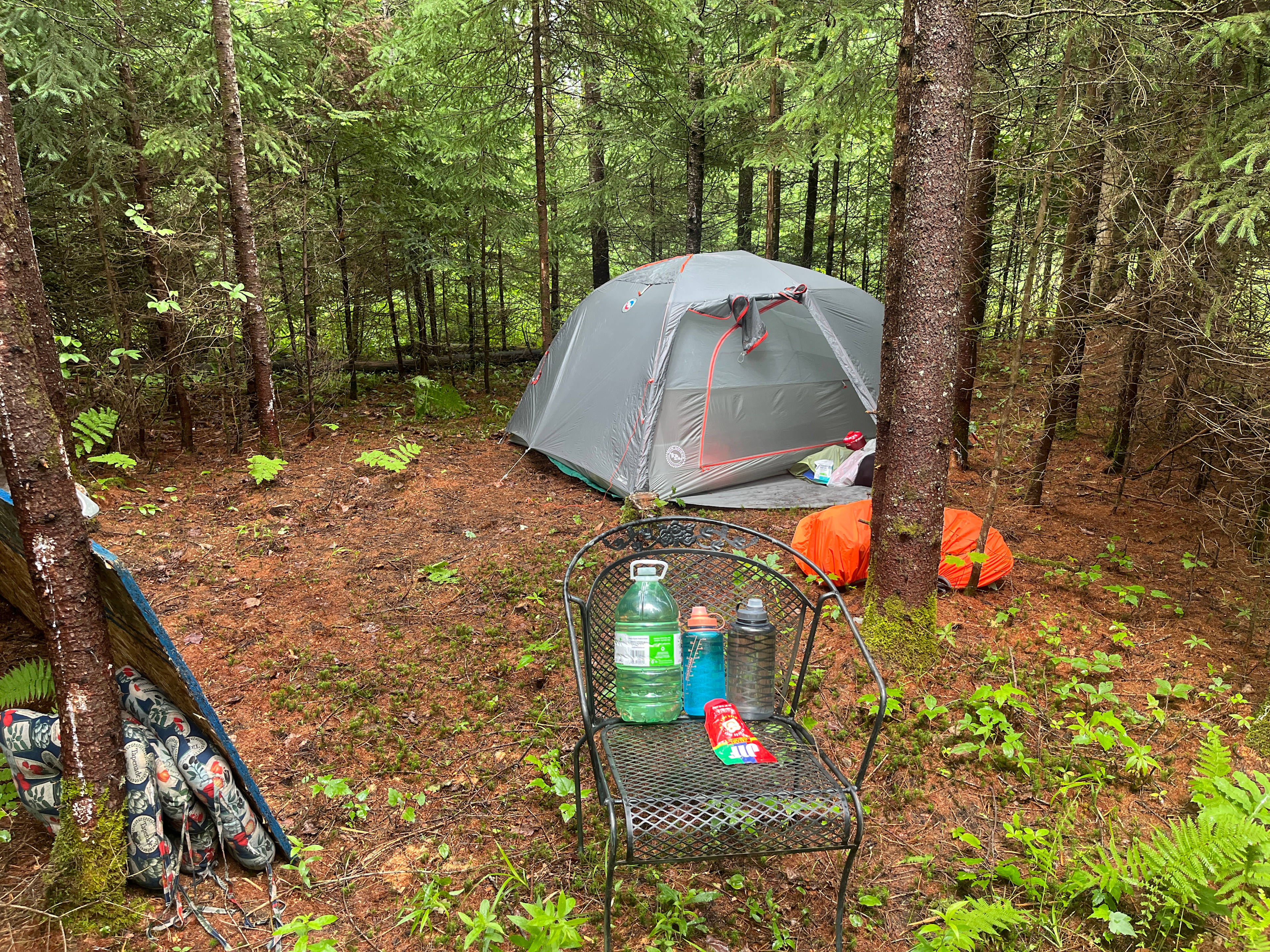 Darlene’s Backwoods