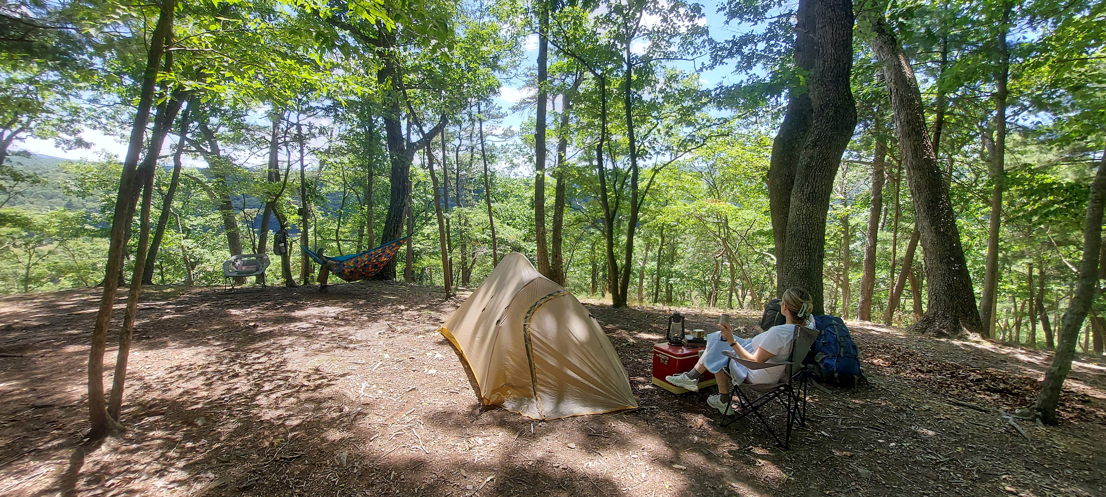 How better to spend a warm summer afternoon than relaxing in a hammock or with a glass of wine