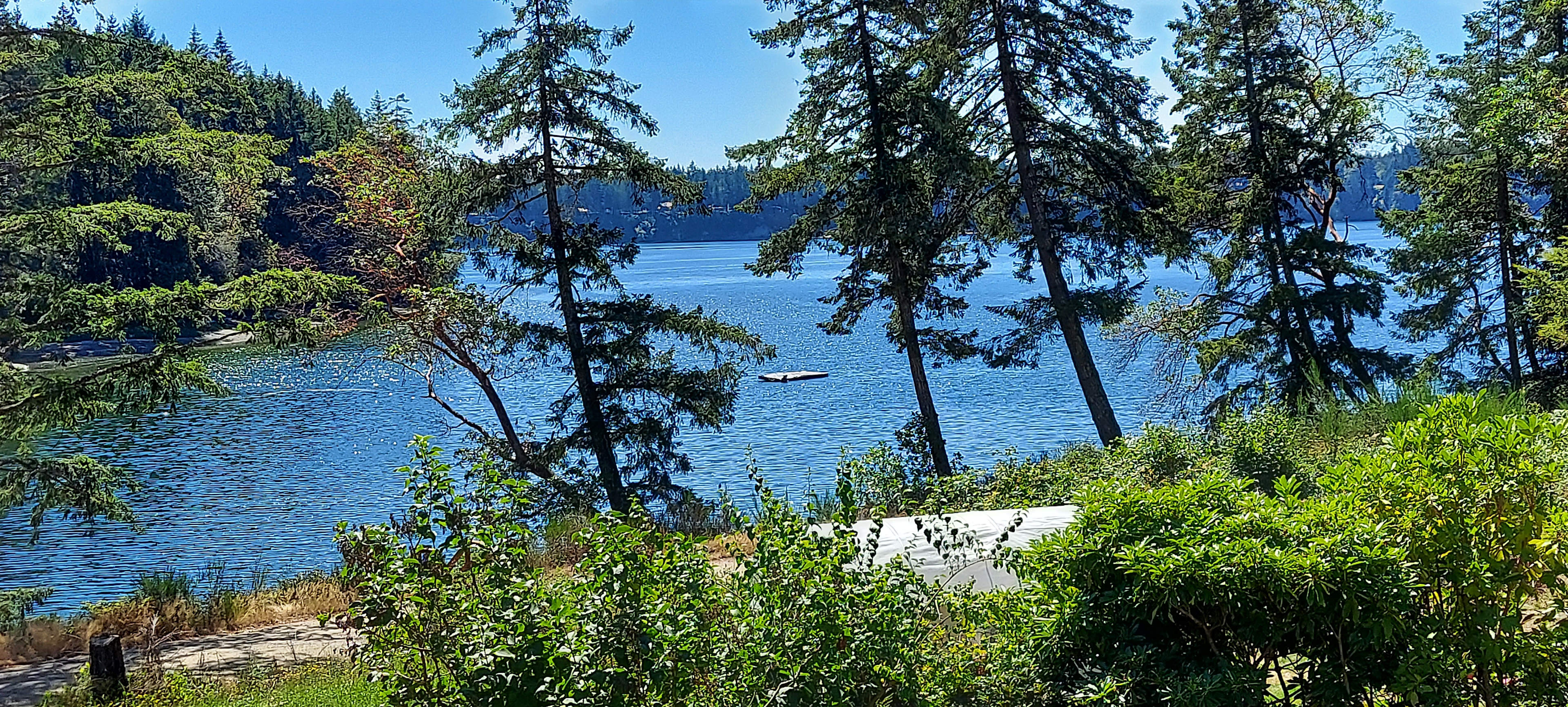 McLane Cove