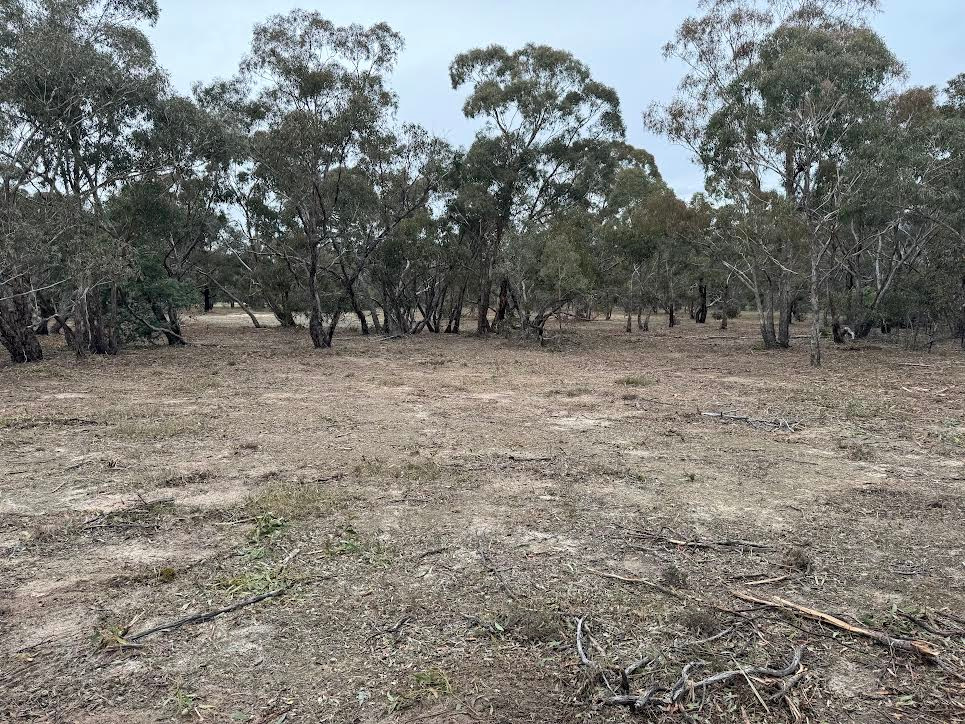 Grampians Bush Camp