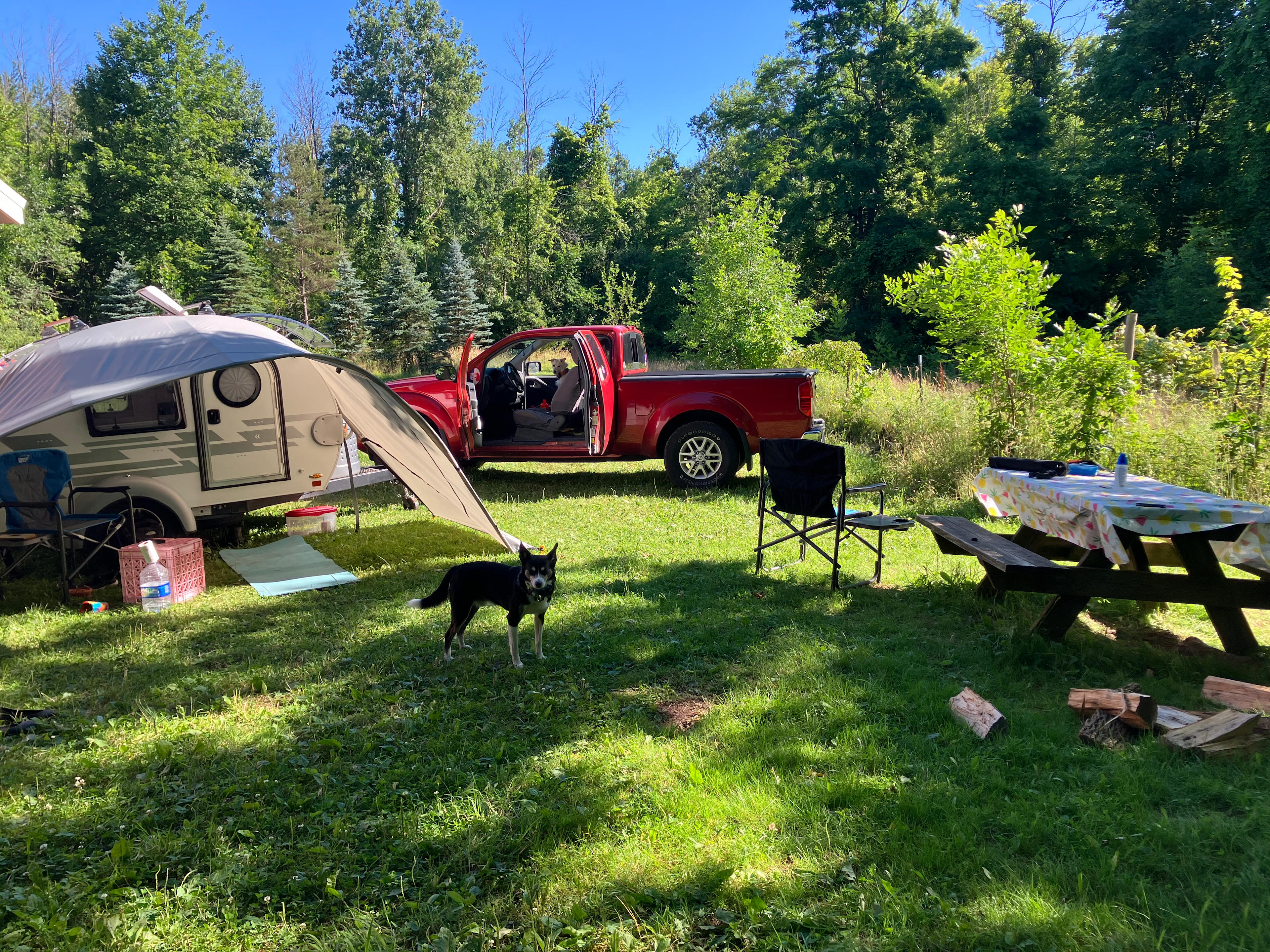Secluded Camping on the Canal
