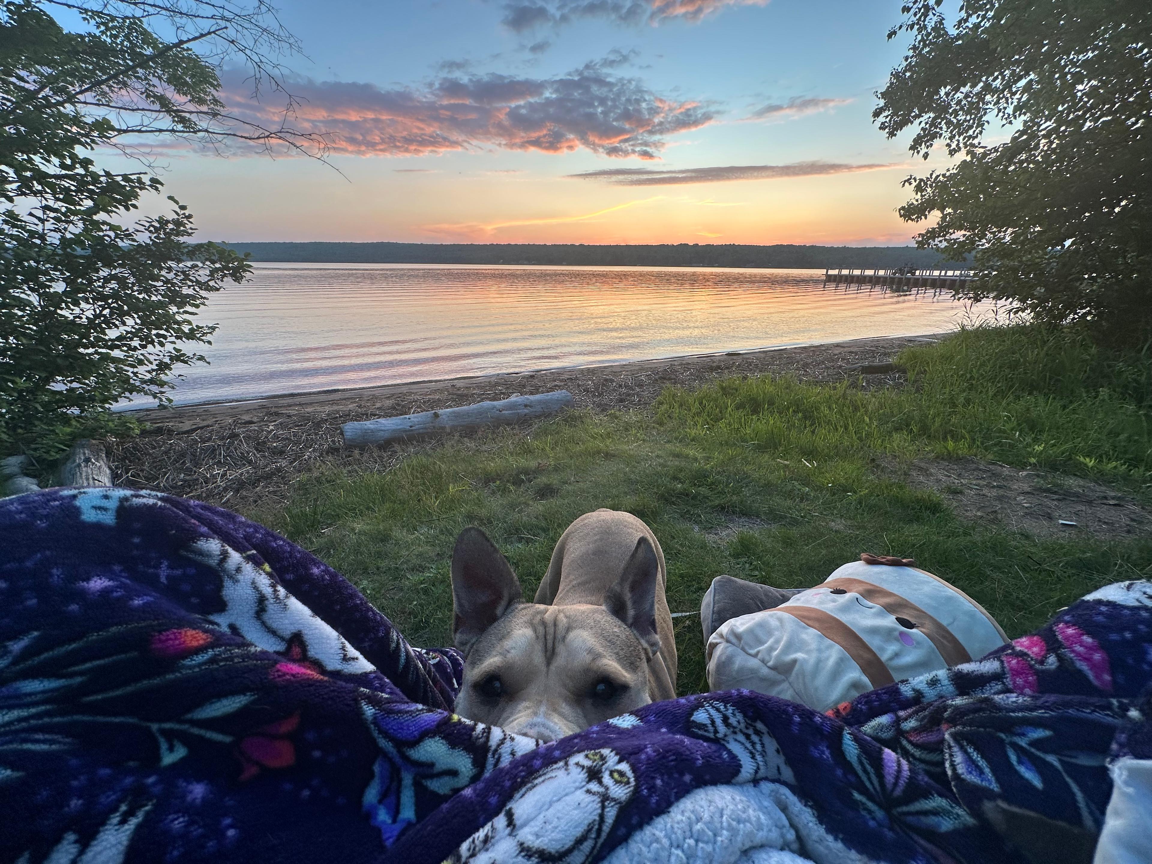 Private Wooded Camping on the Lake
