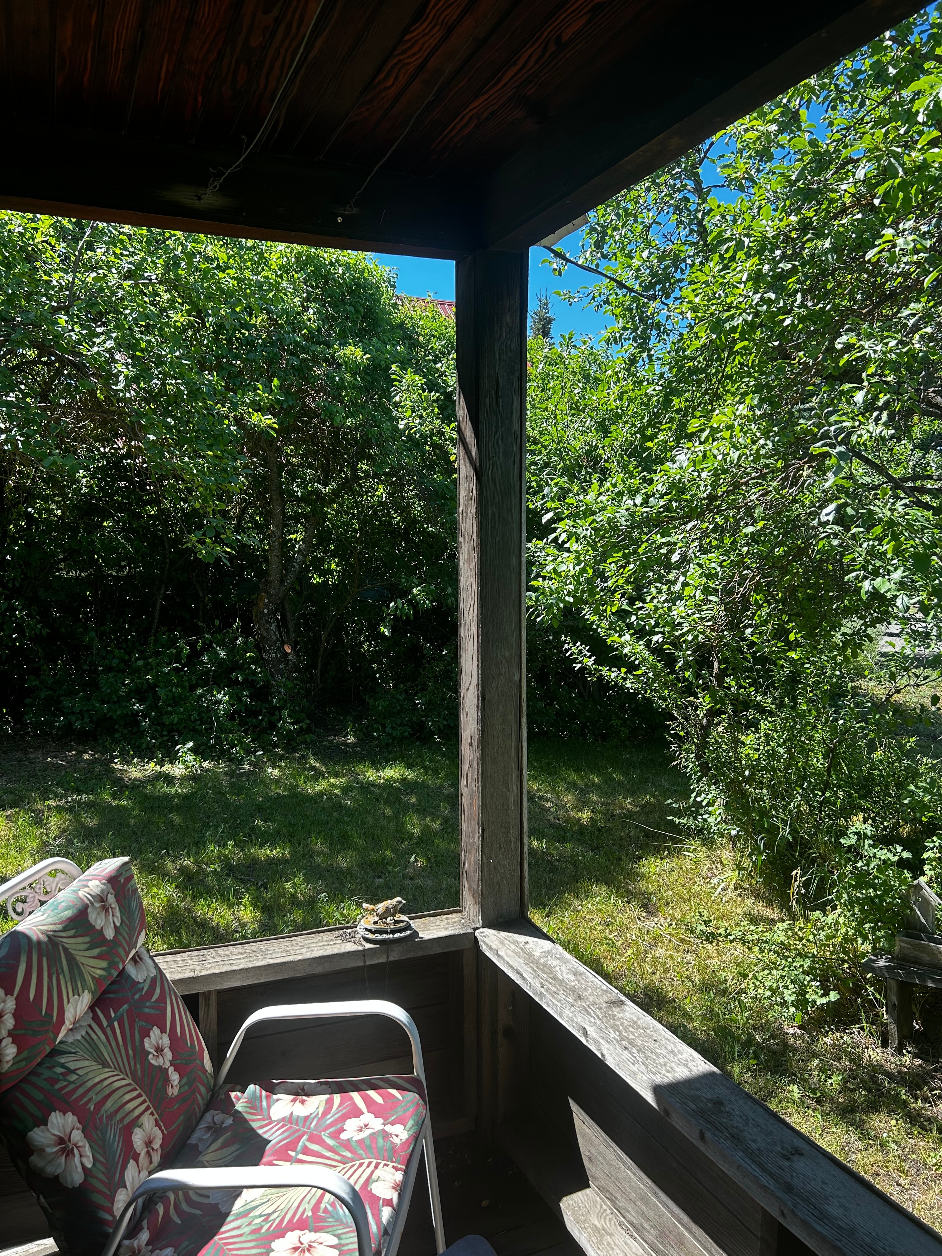 Enjoy the tranquility of the old front porch surrounded by shady heirloom fruit trees.  We don’t spray the property, so you can enjoy the fruit right off the tree. 