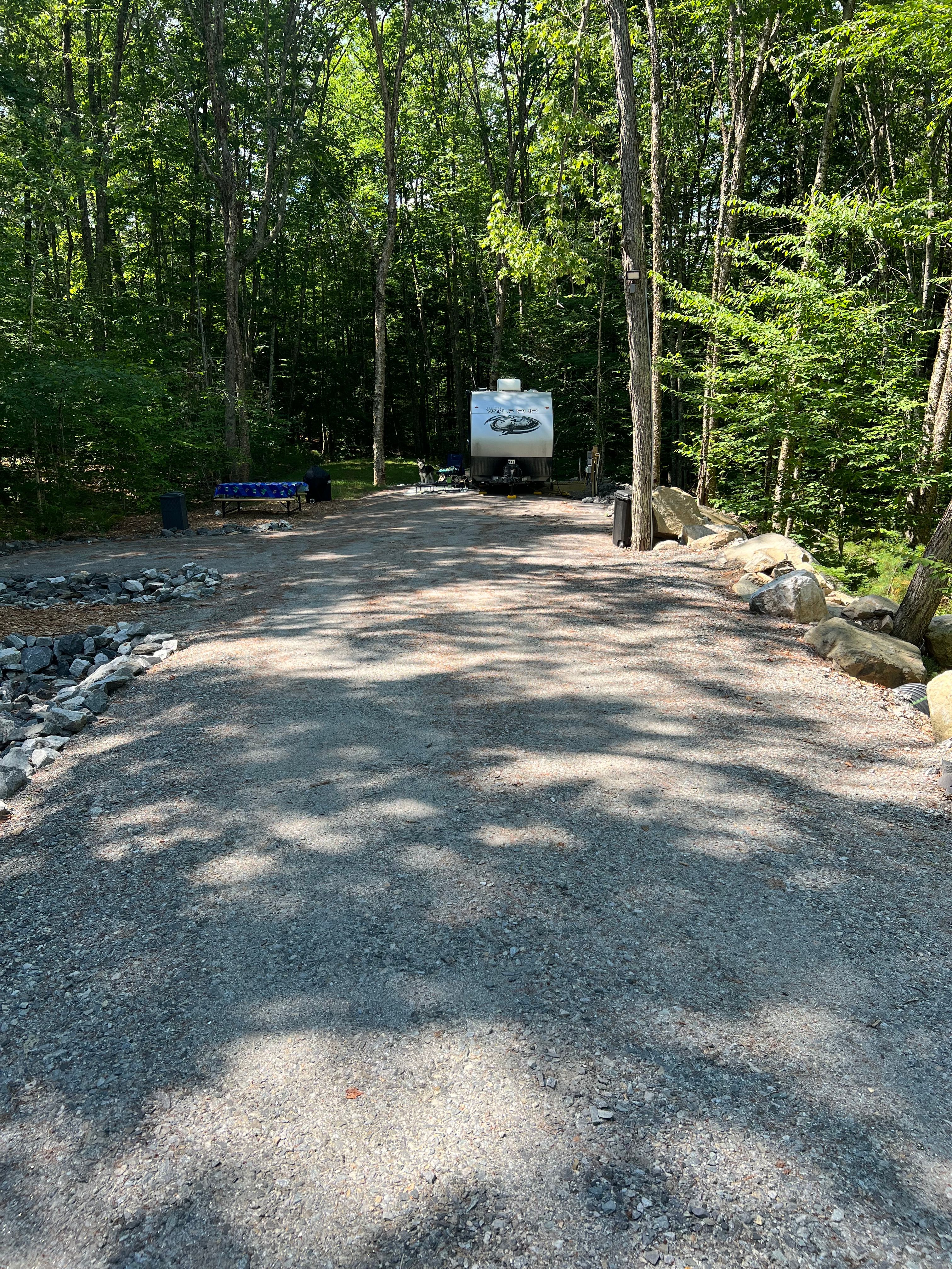 The Queen's Property on Thomas Pond