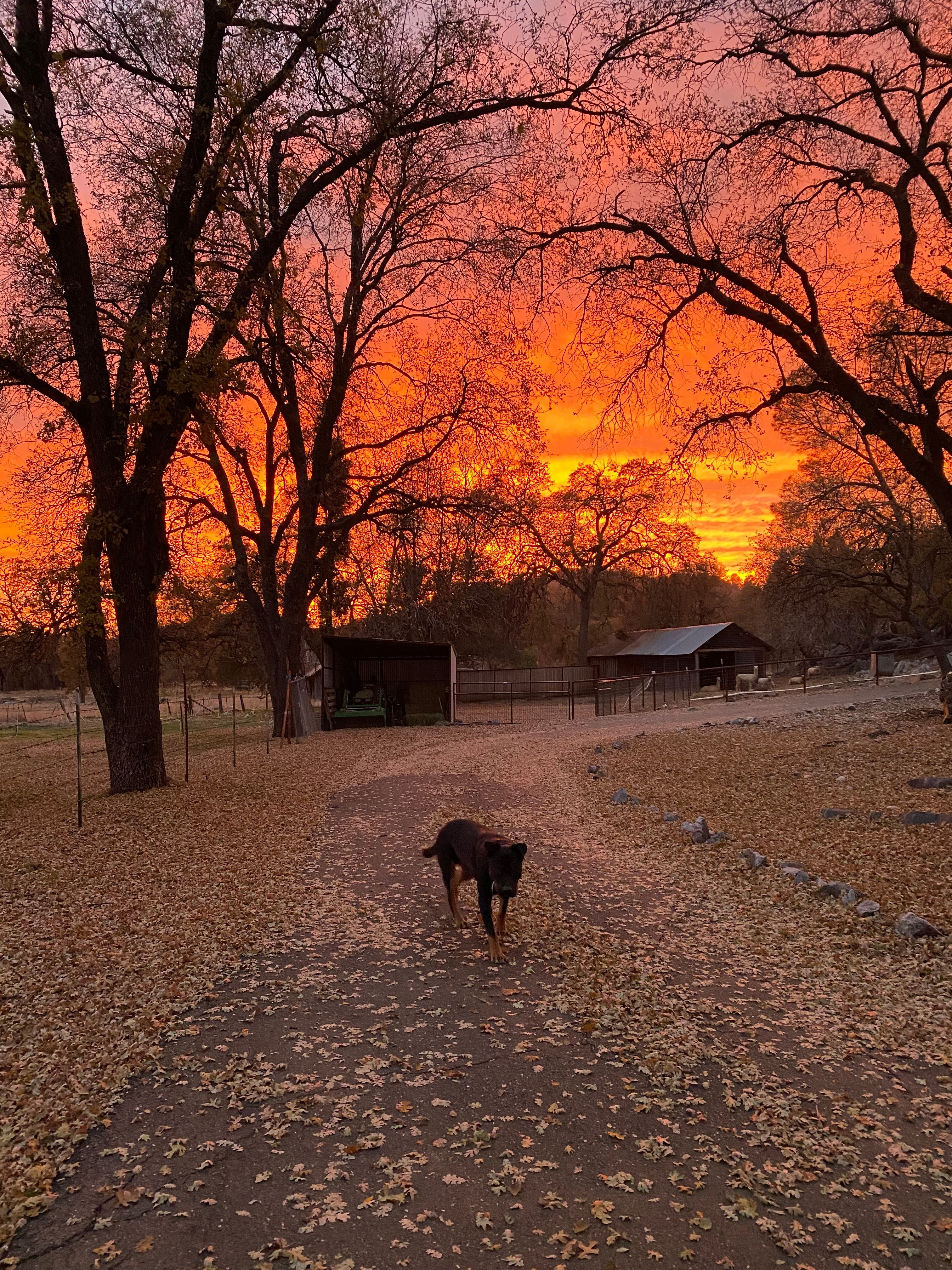 The Land Of Make+Believe