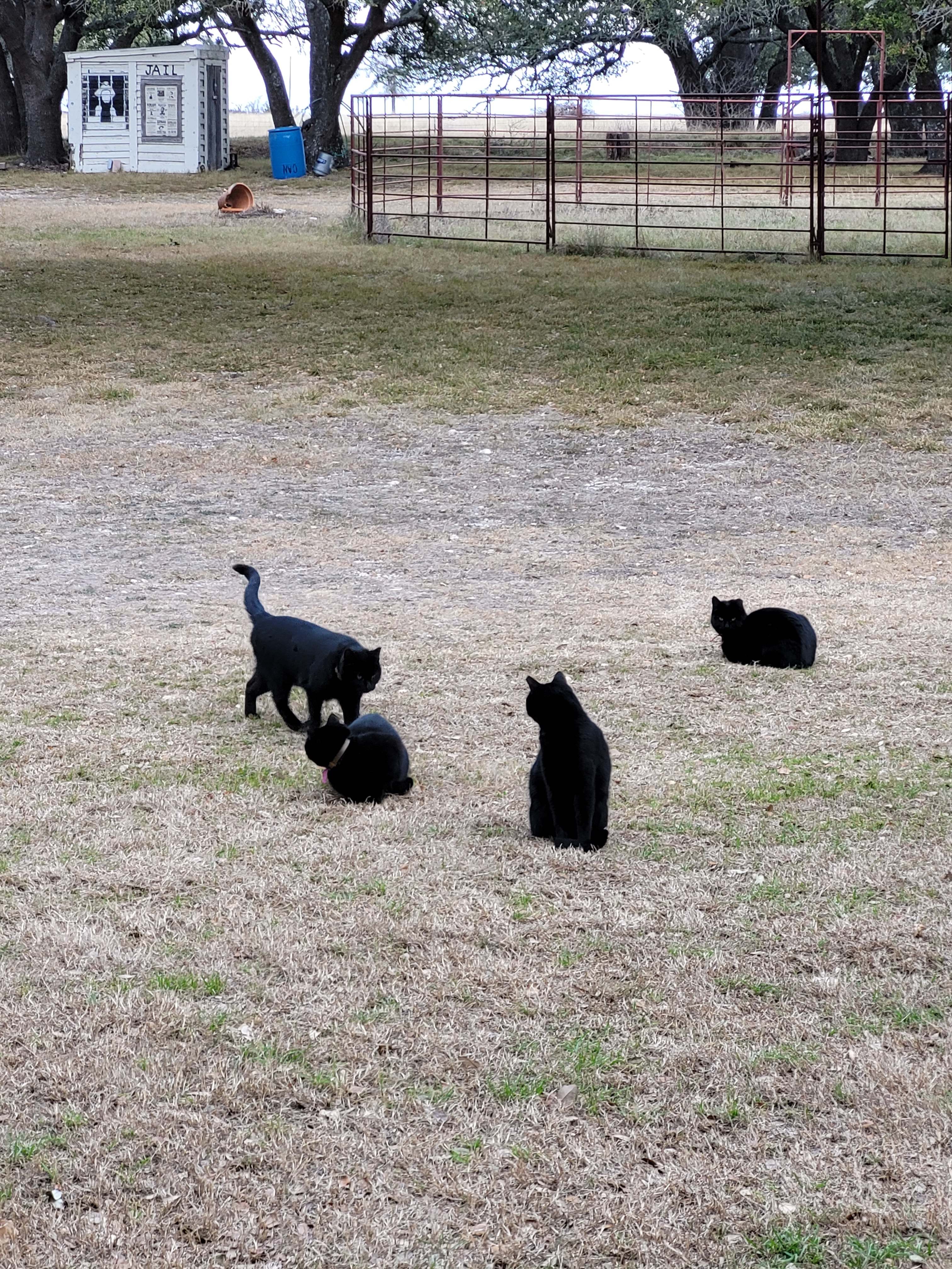 Sappho Ranch