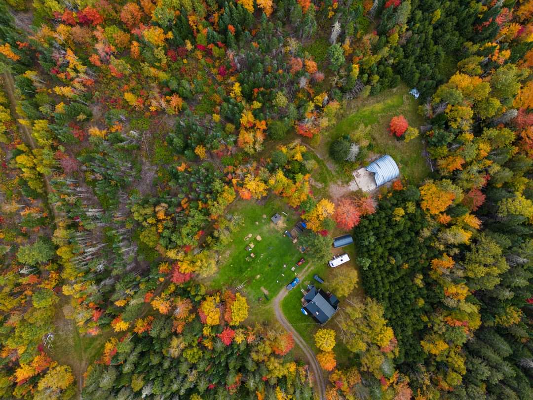 Funny Farm Homestead