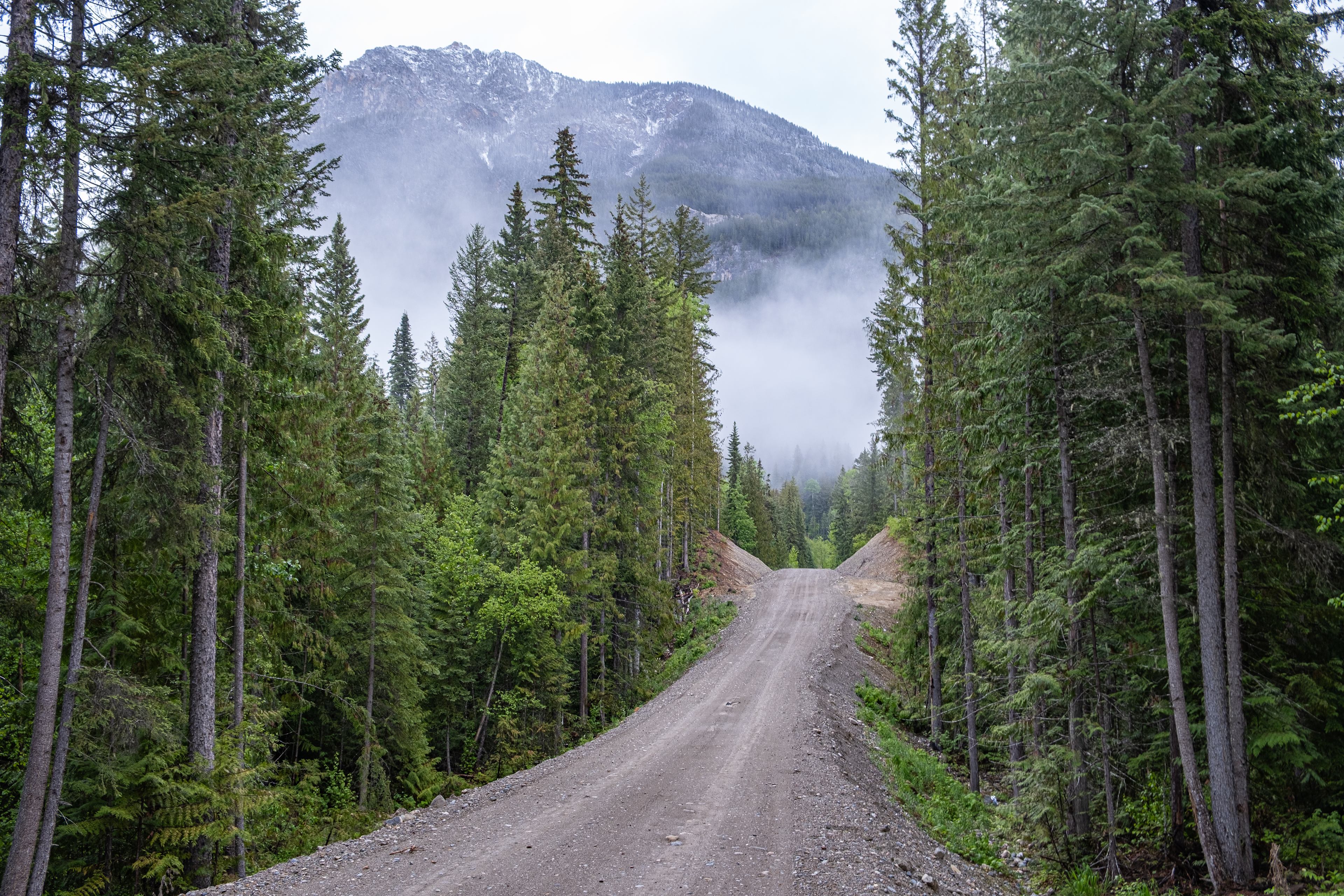 The road coming in to our property