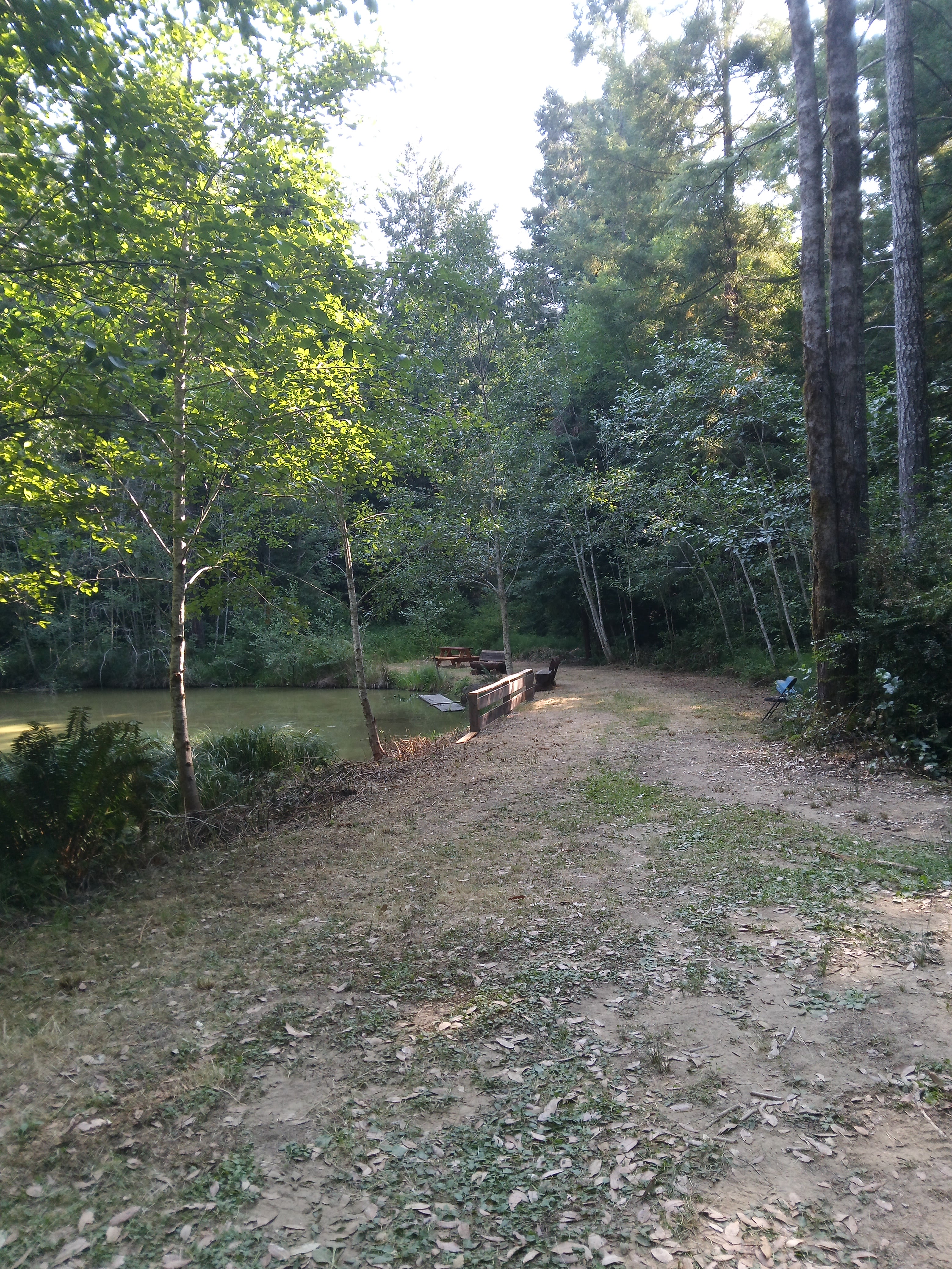 Dragonfly Creek