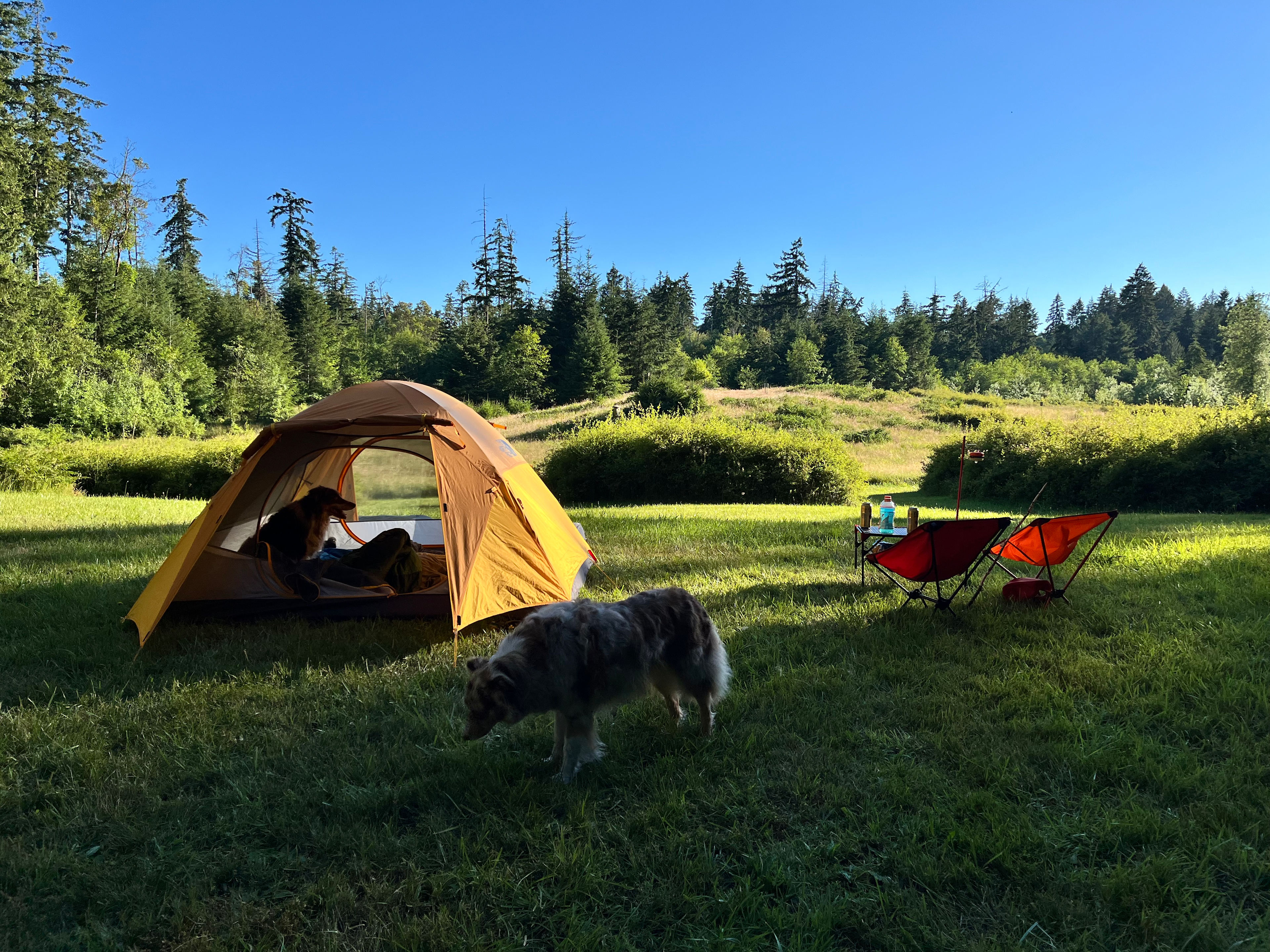 Madrona Meadow Camp
