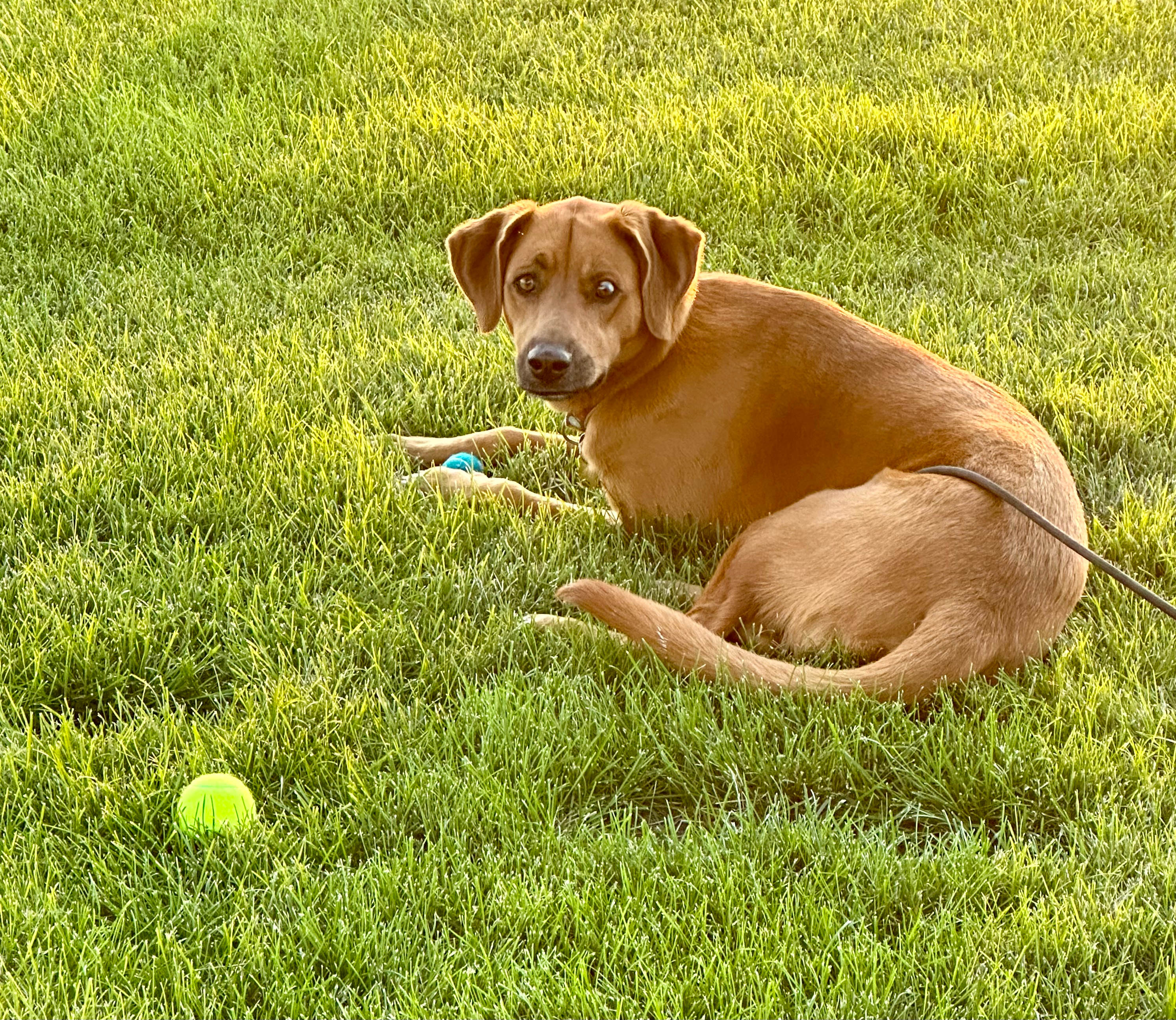 Cuzn Eddyz Campground