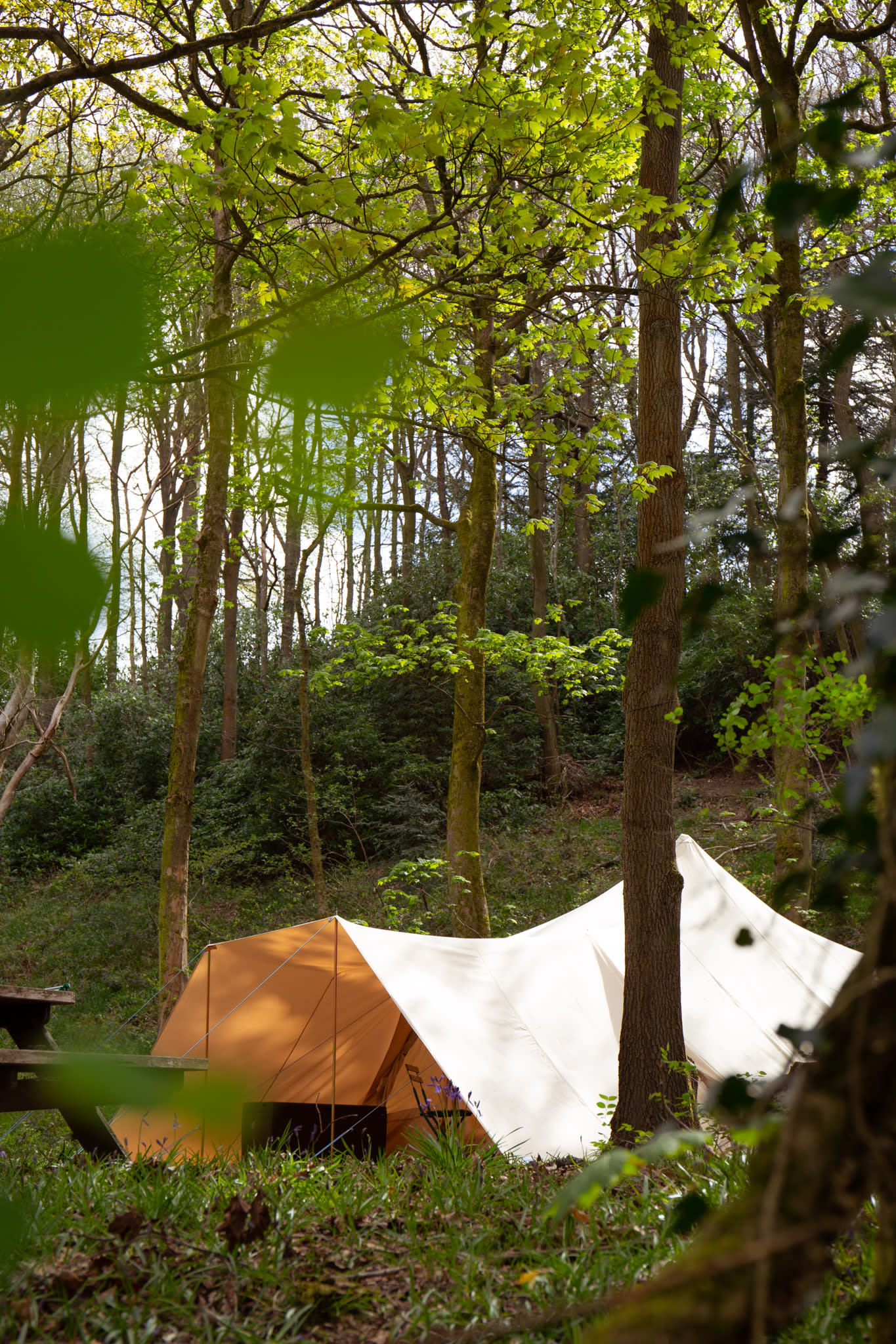 Secret Wood Glamping