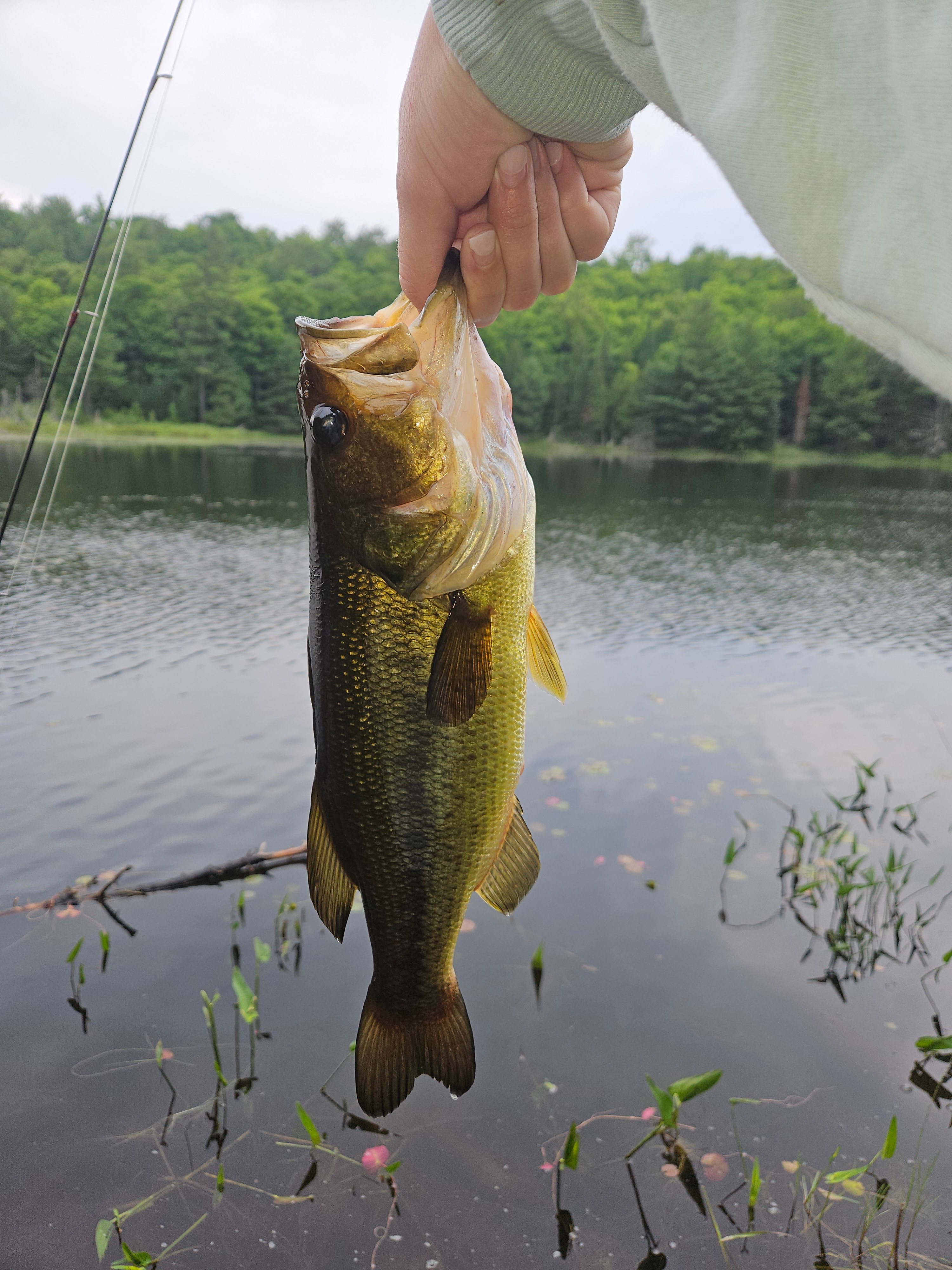Ball Lake Tent Camping