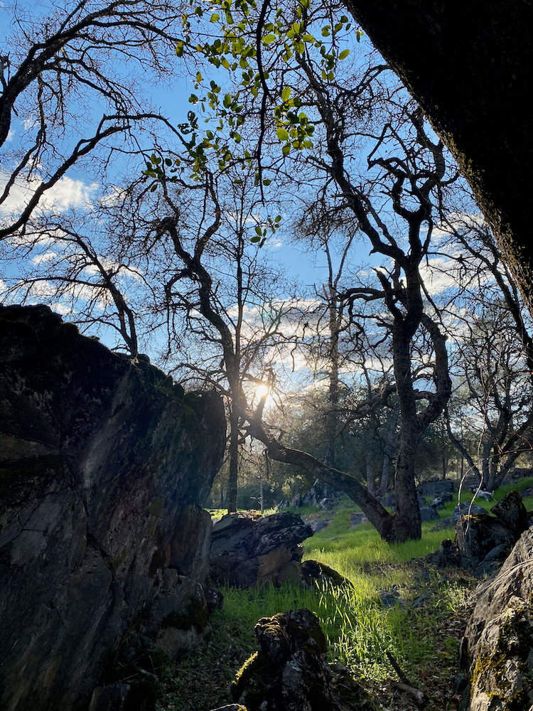 The Land Of Make+Believe