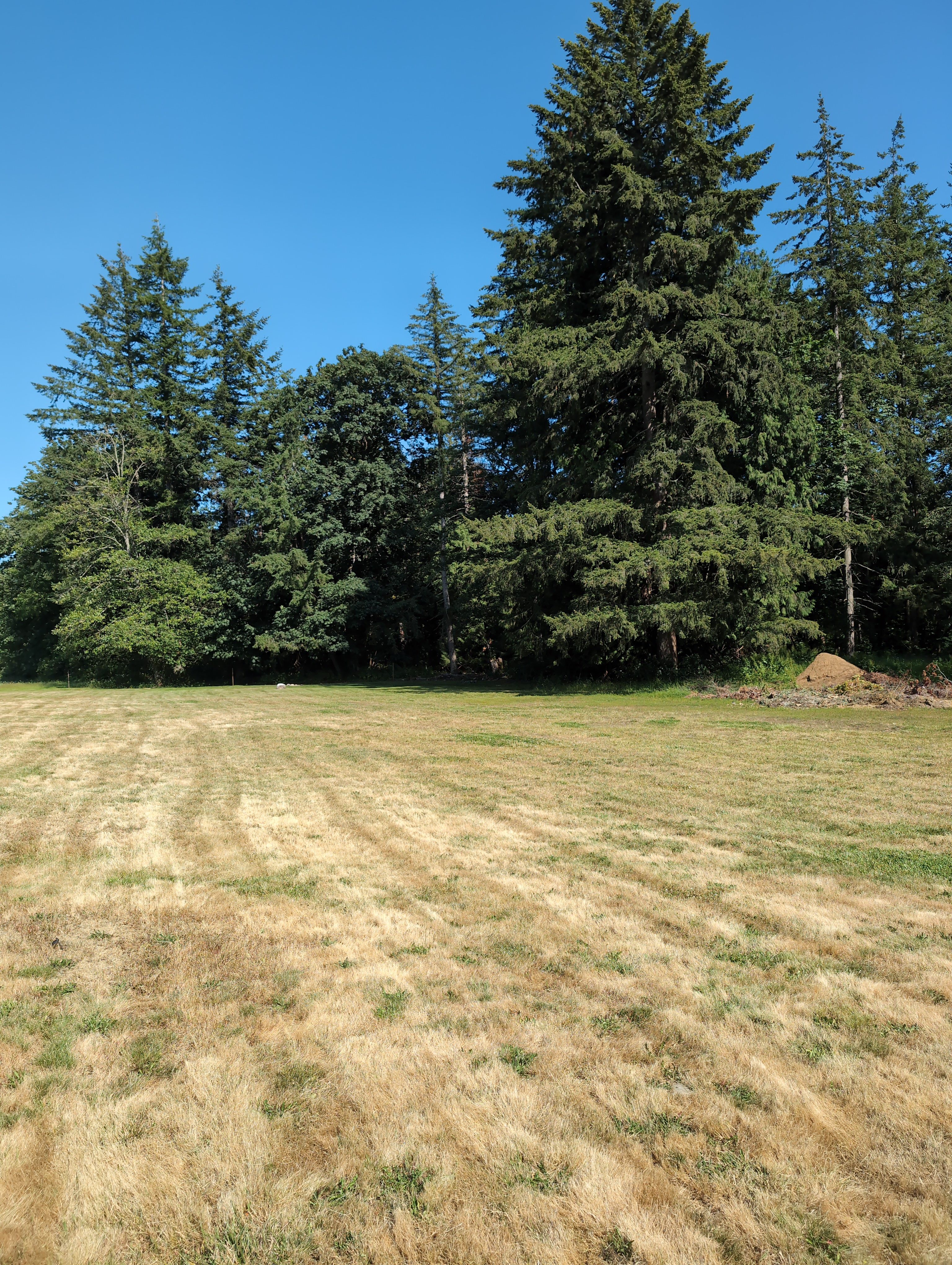 Birch Bay Lawn Care
