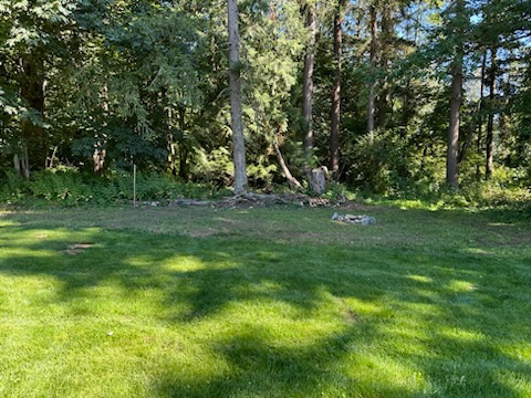 Birch Bay Lawn Care