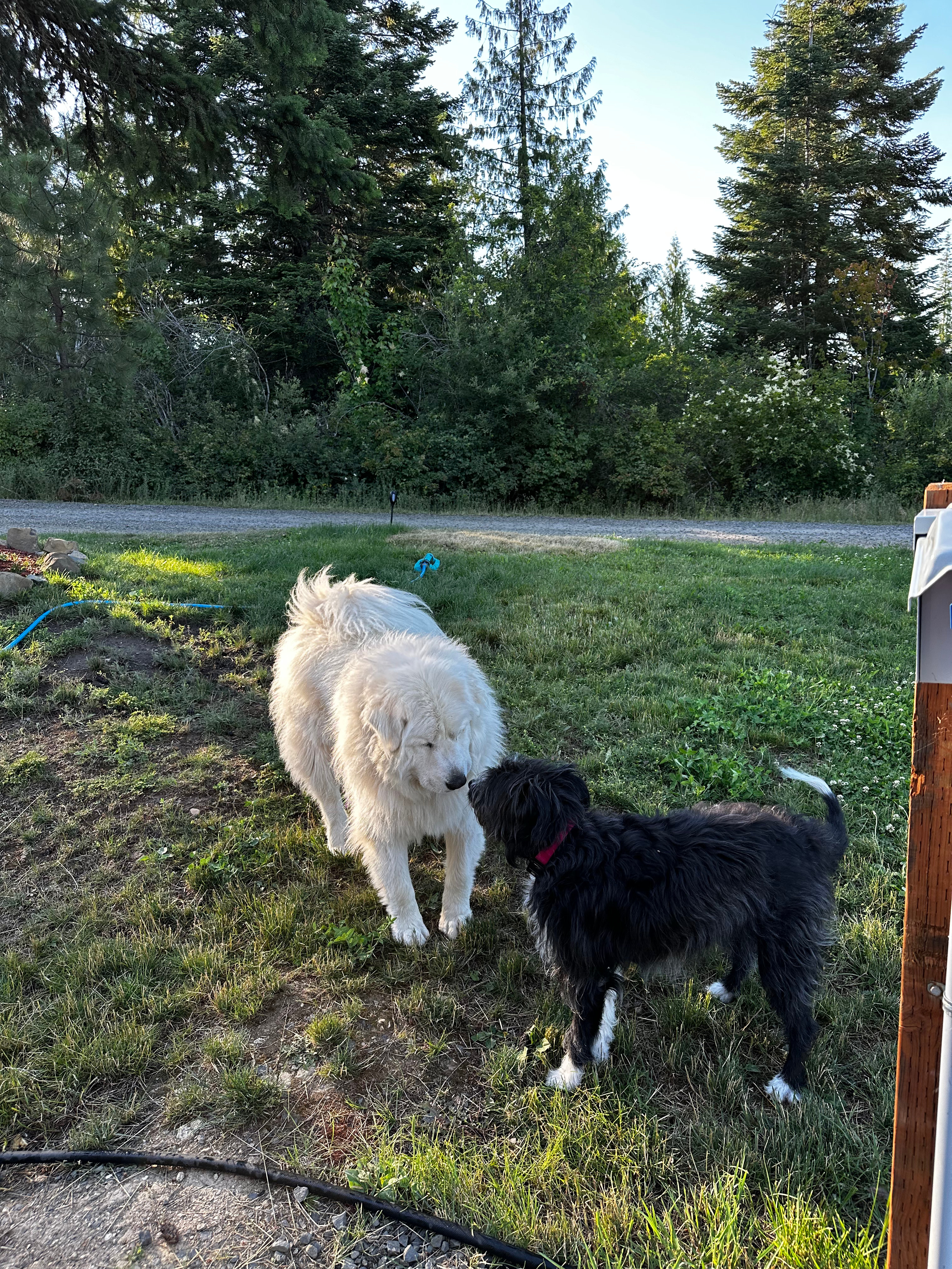 Rockford Bay Retreat