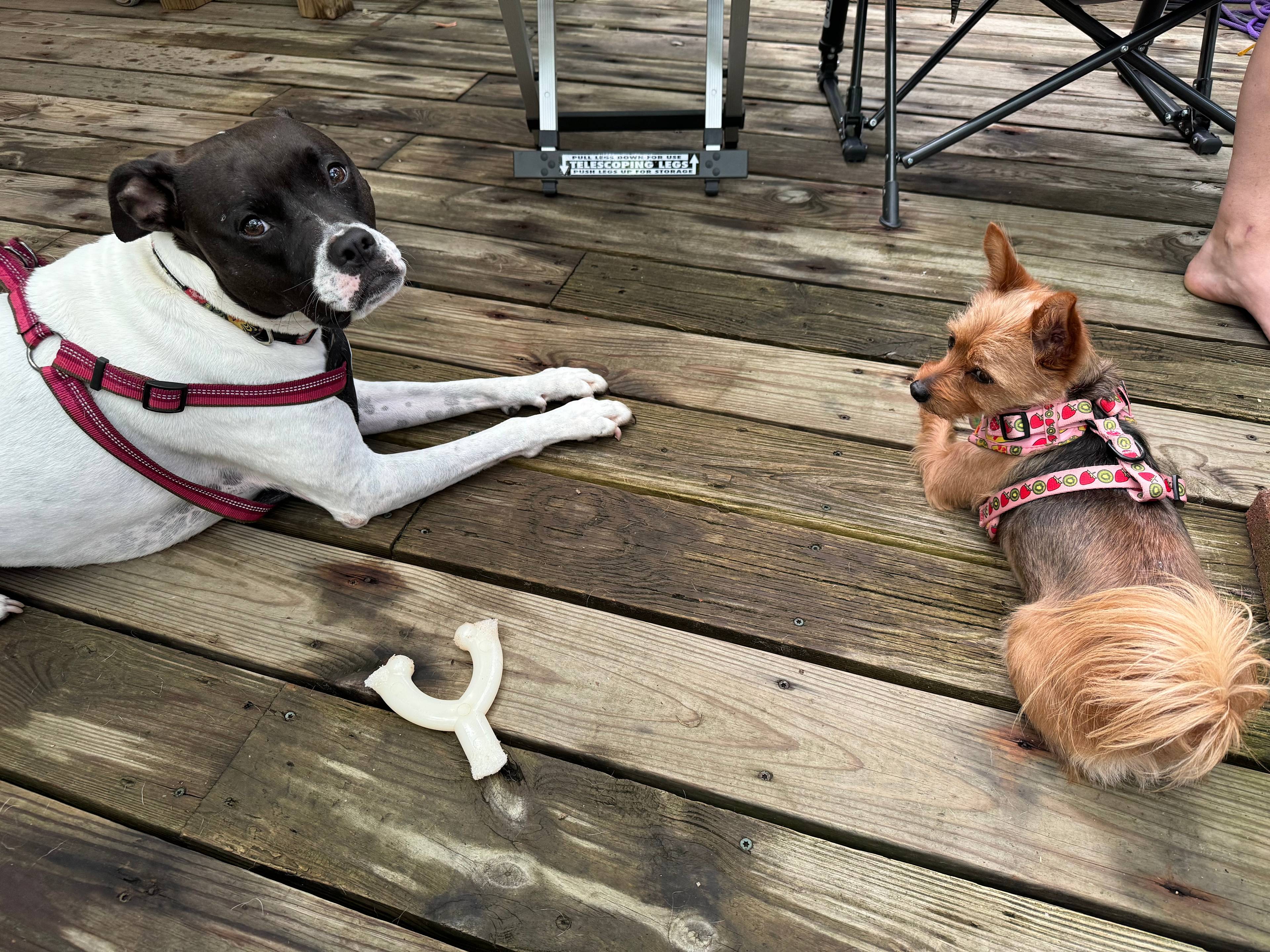 Longhope Mountain Glamping