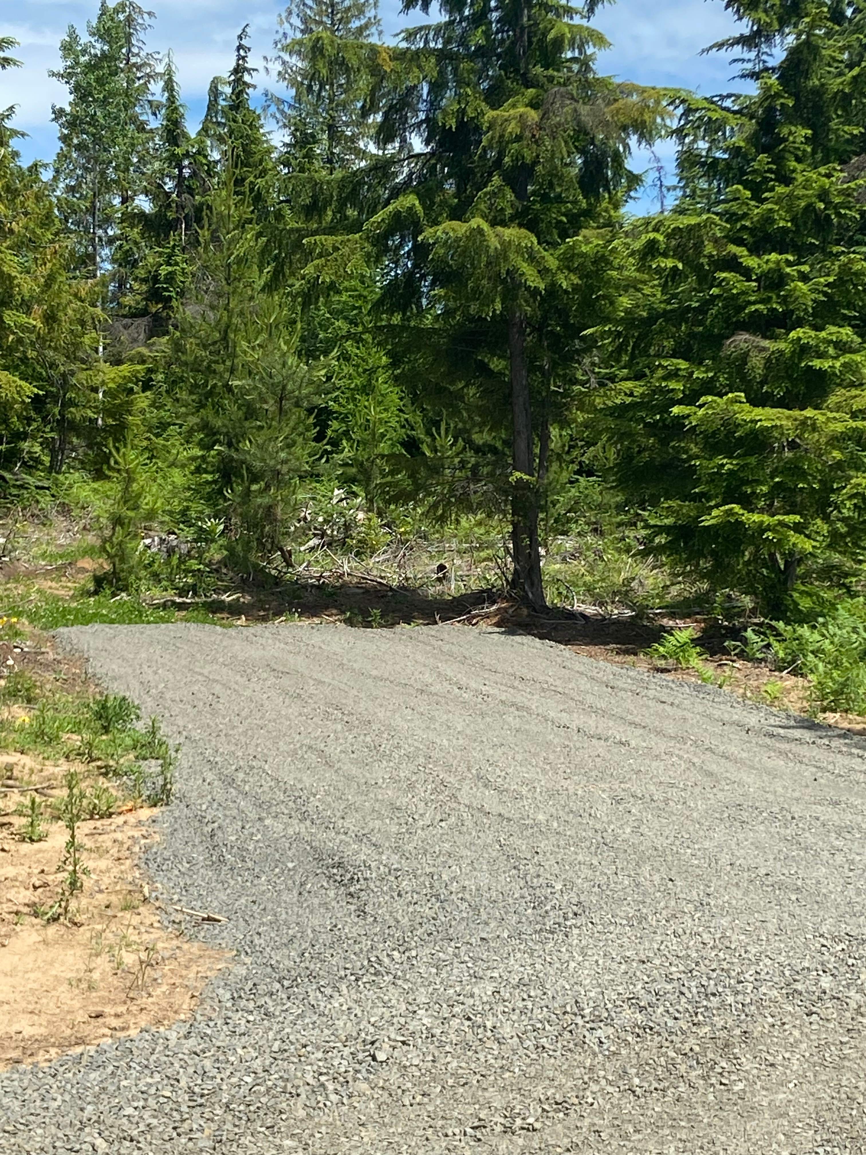 Badger Campground