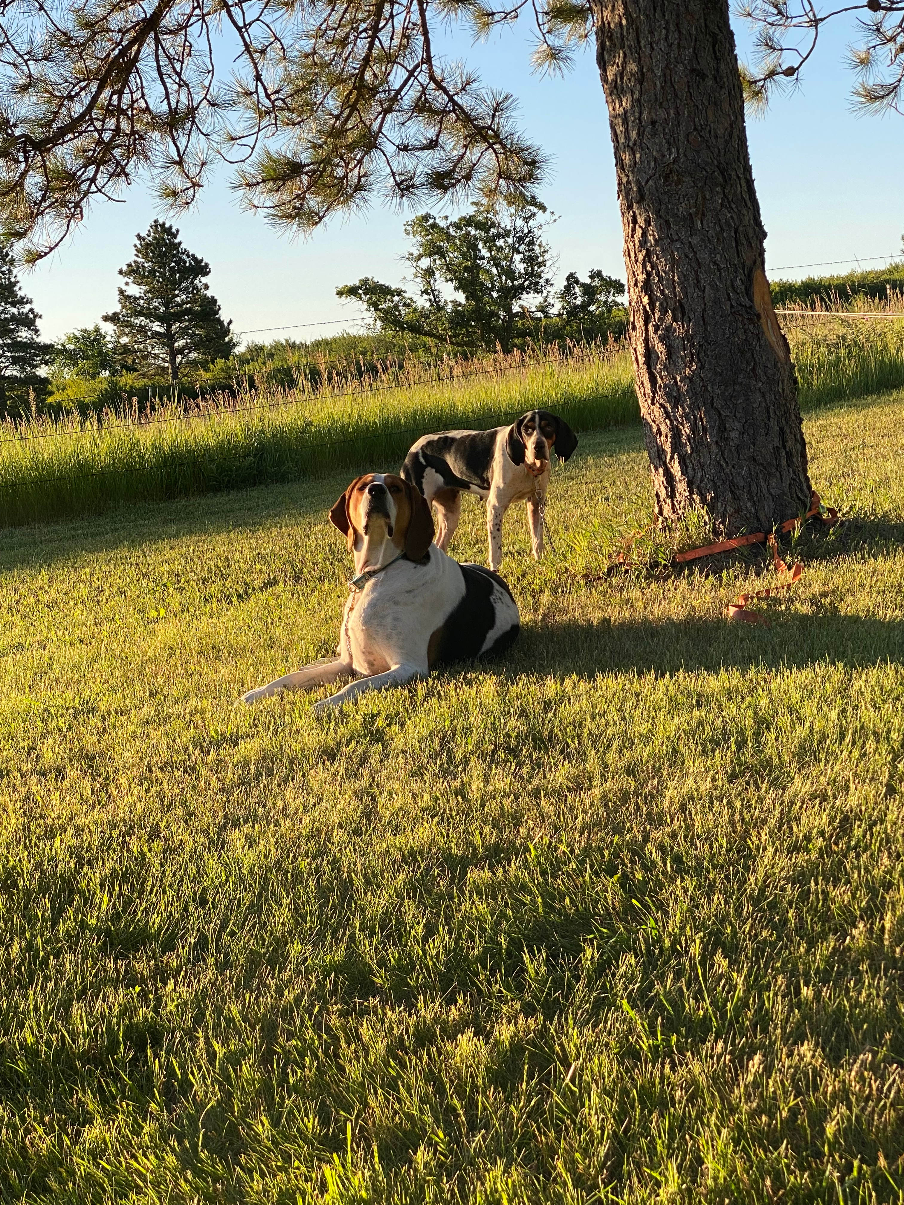 Crow Peak’s Last Best Place