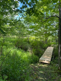 Catskill Glamping Site with views