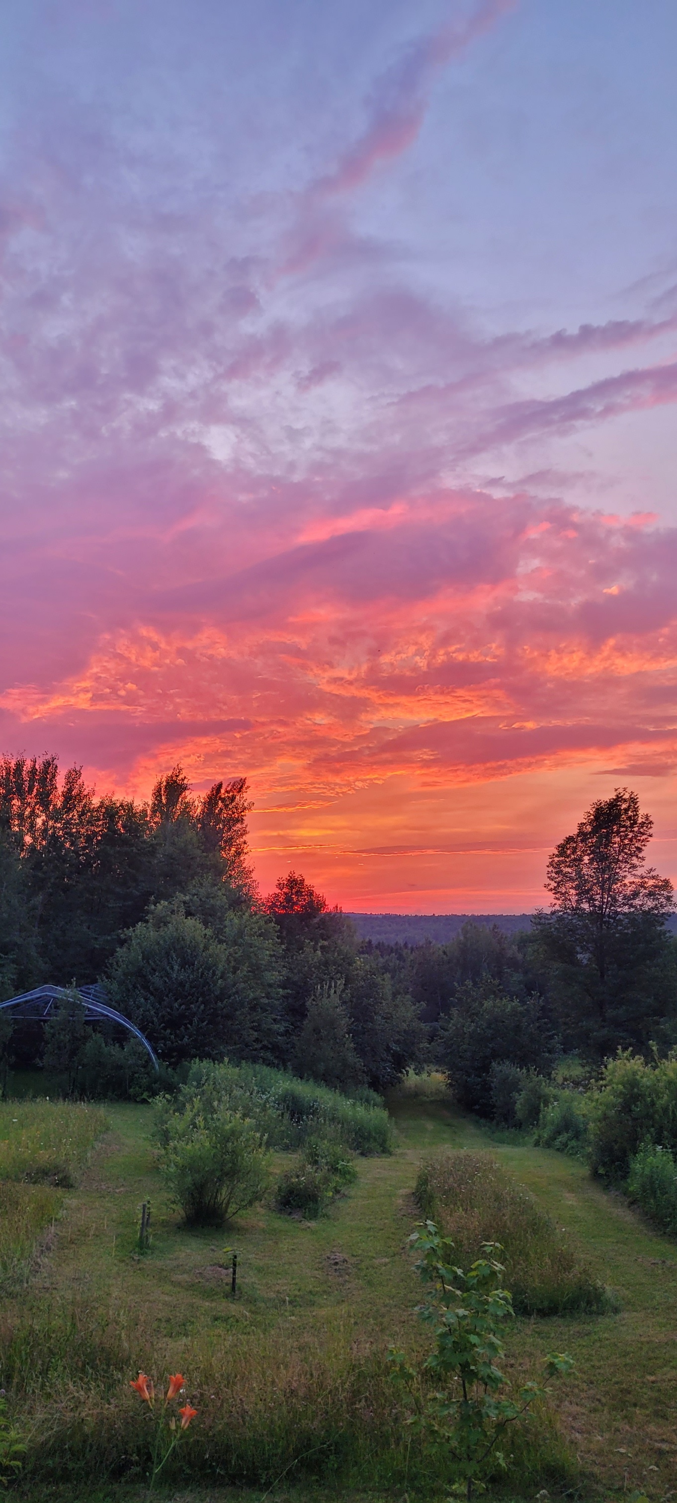 Purple Sunset