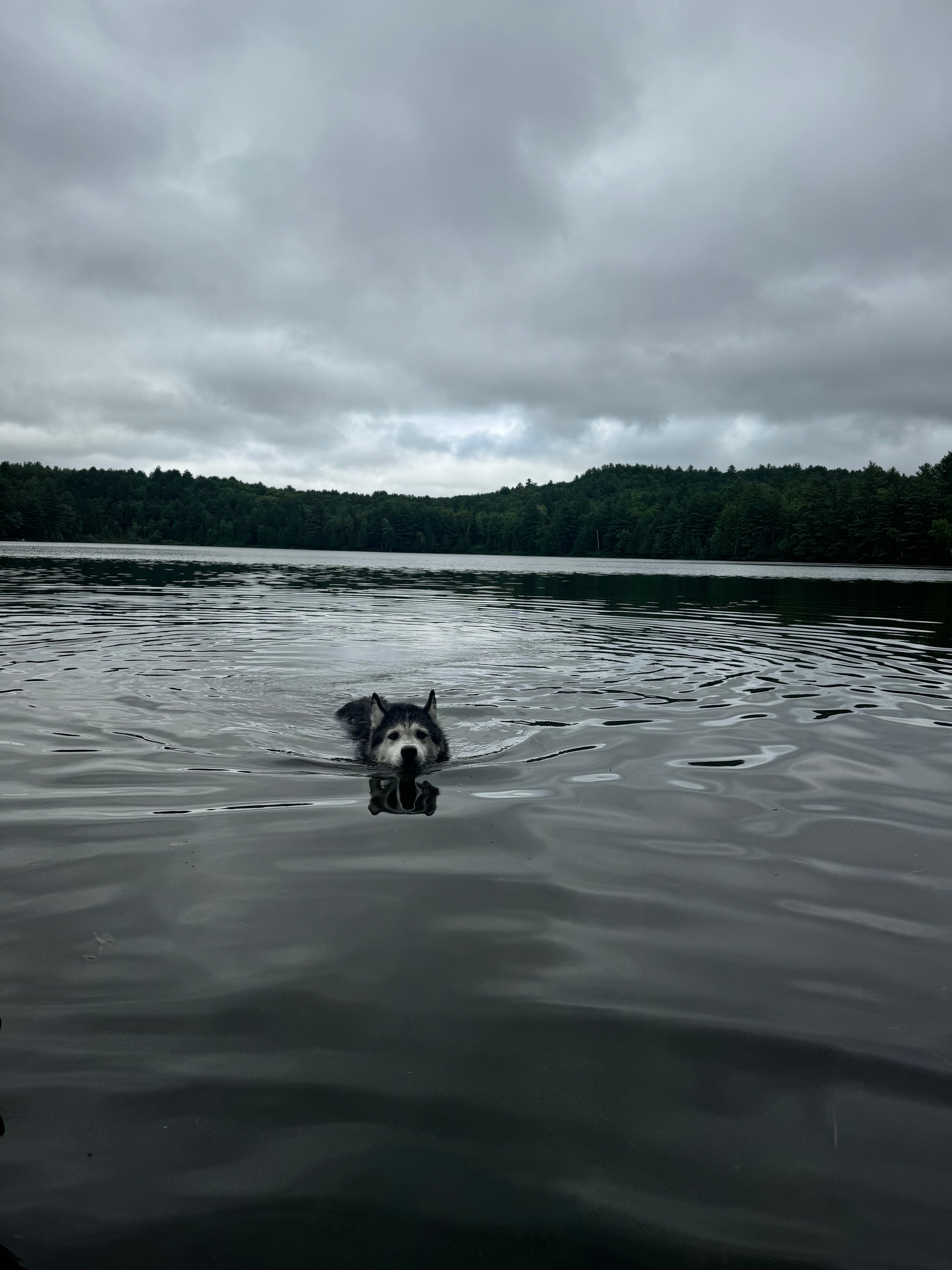 Lakeside Bunkie - 35min to Alg.Park