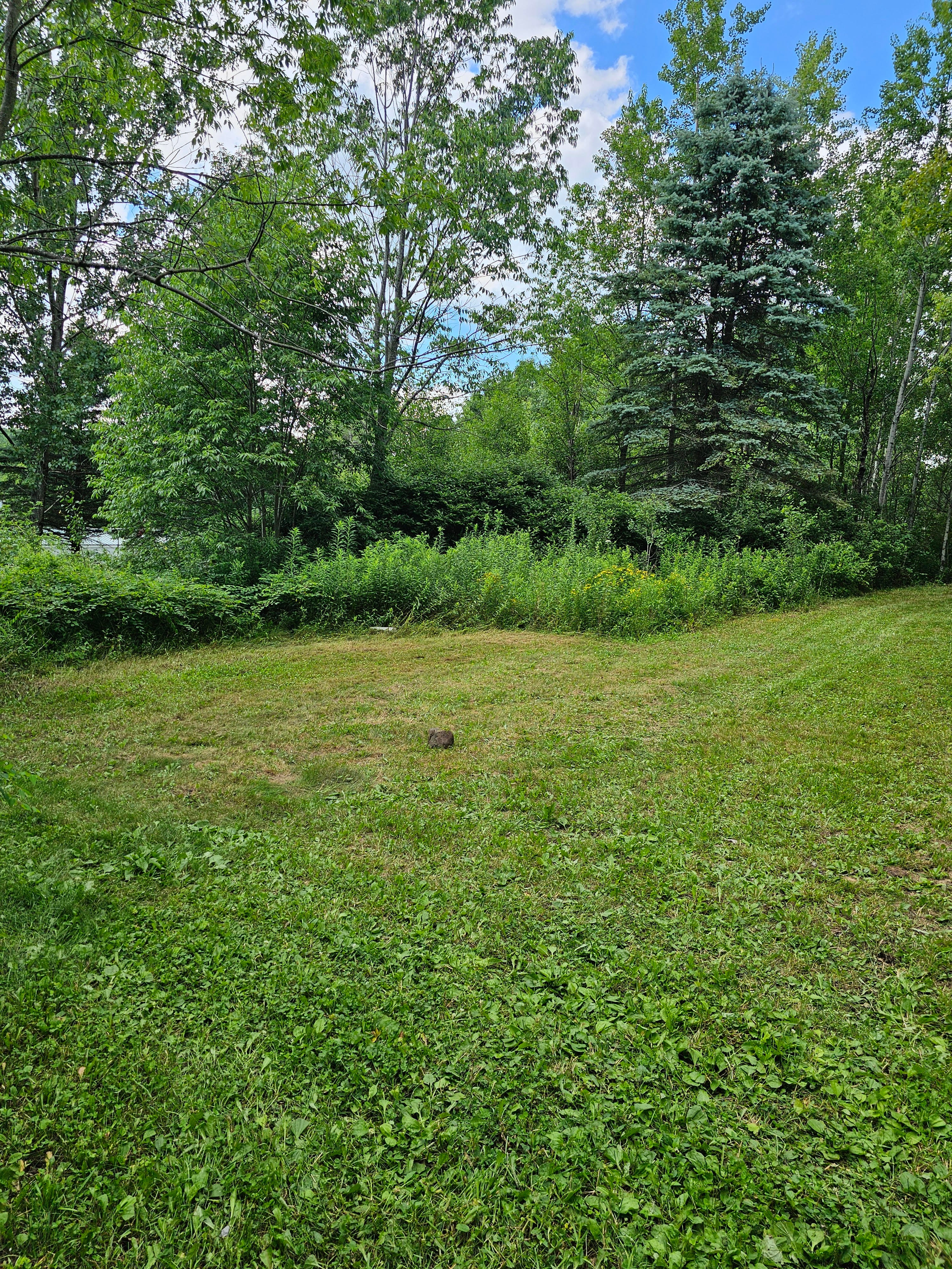 straight view
