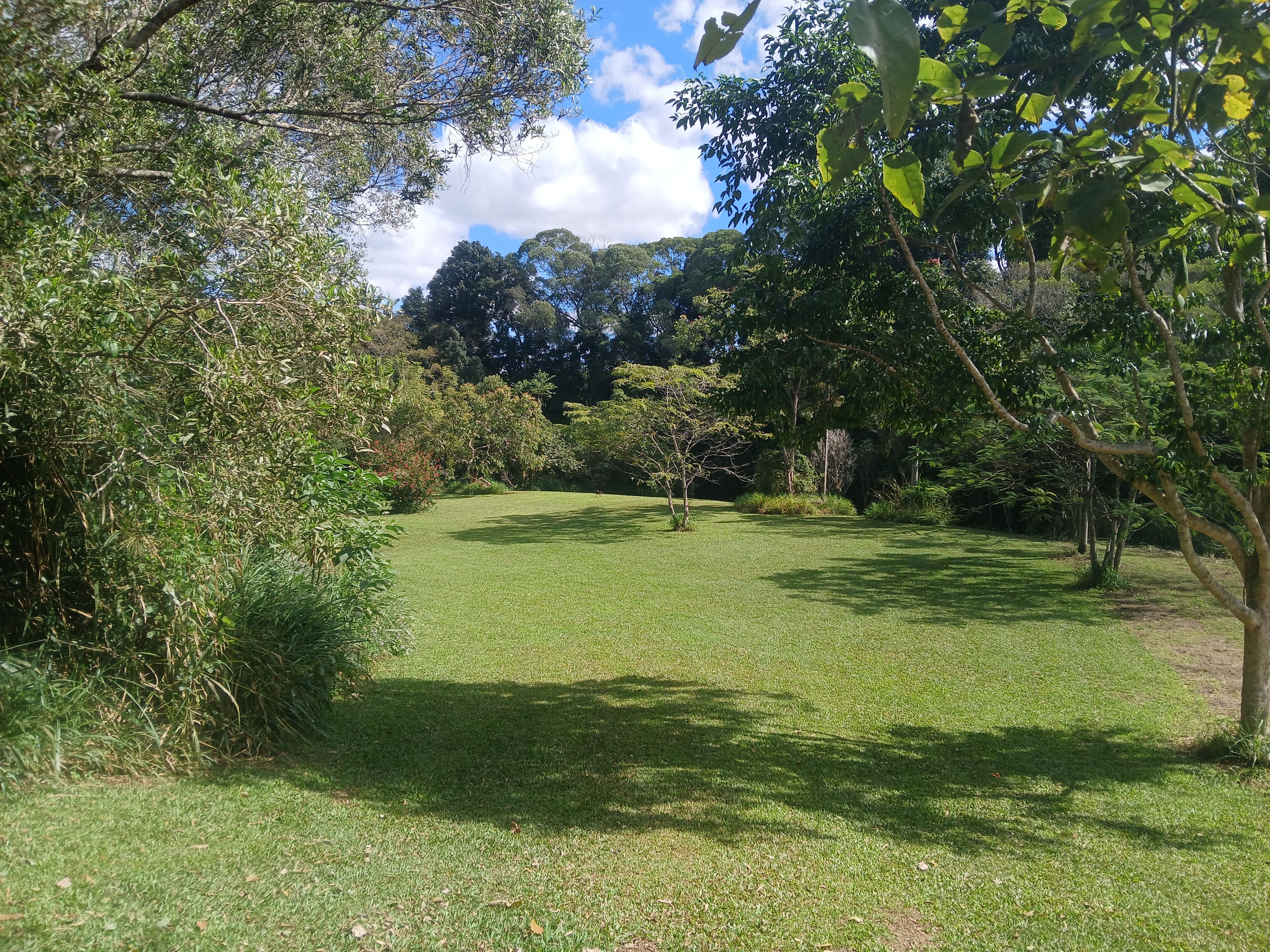 Malanda Stream Private Camping.