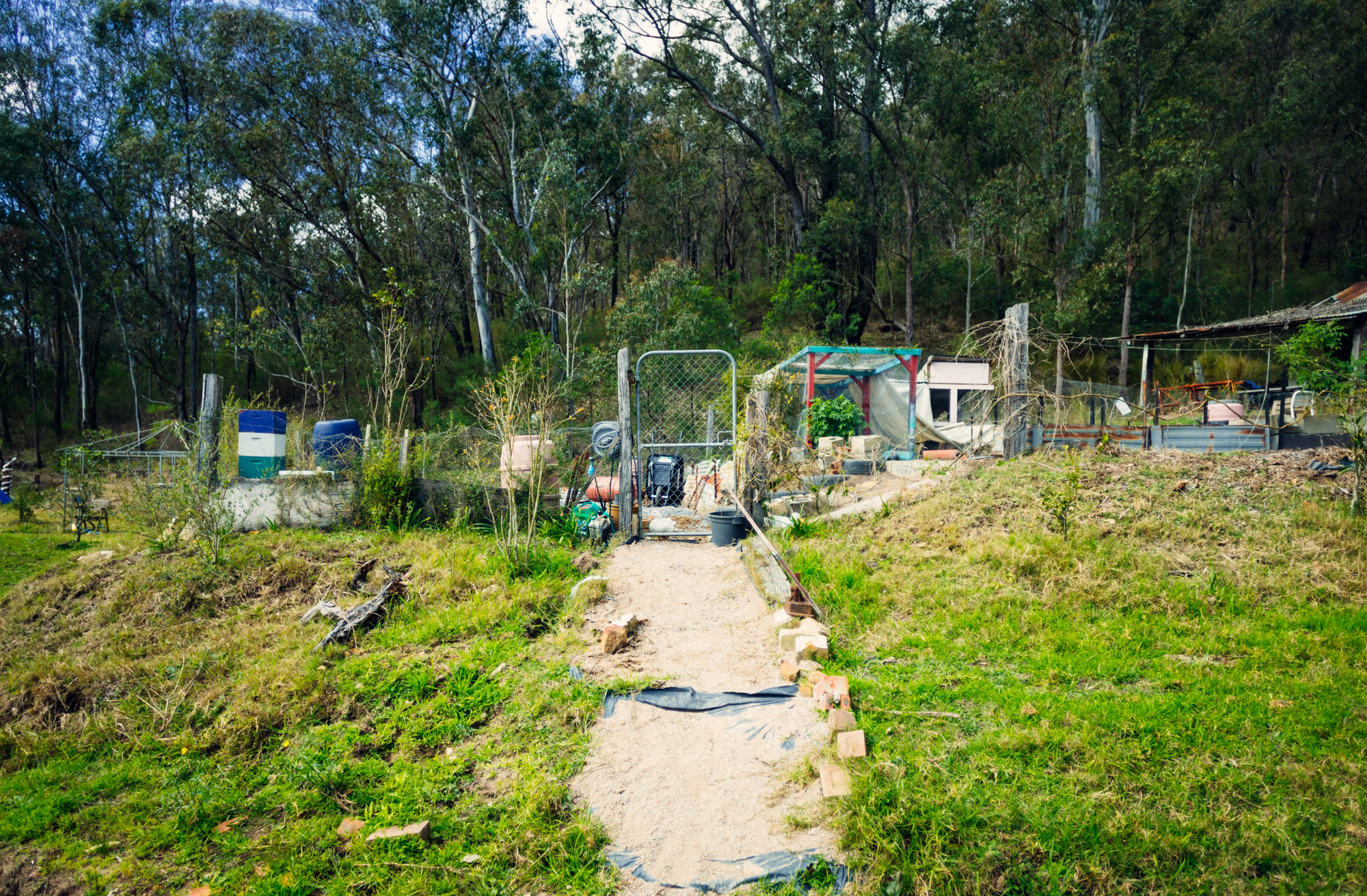 Entry to the little duck farm area