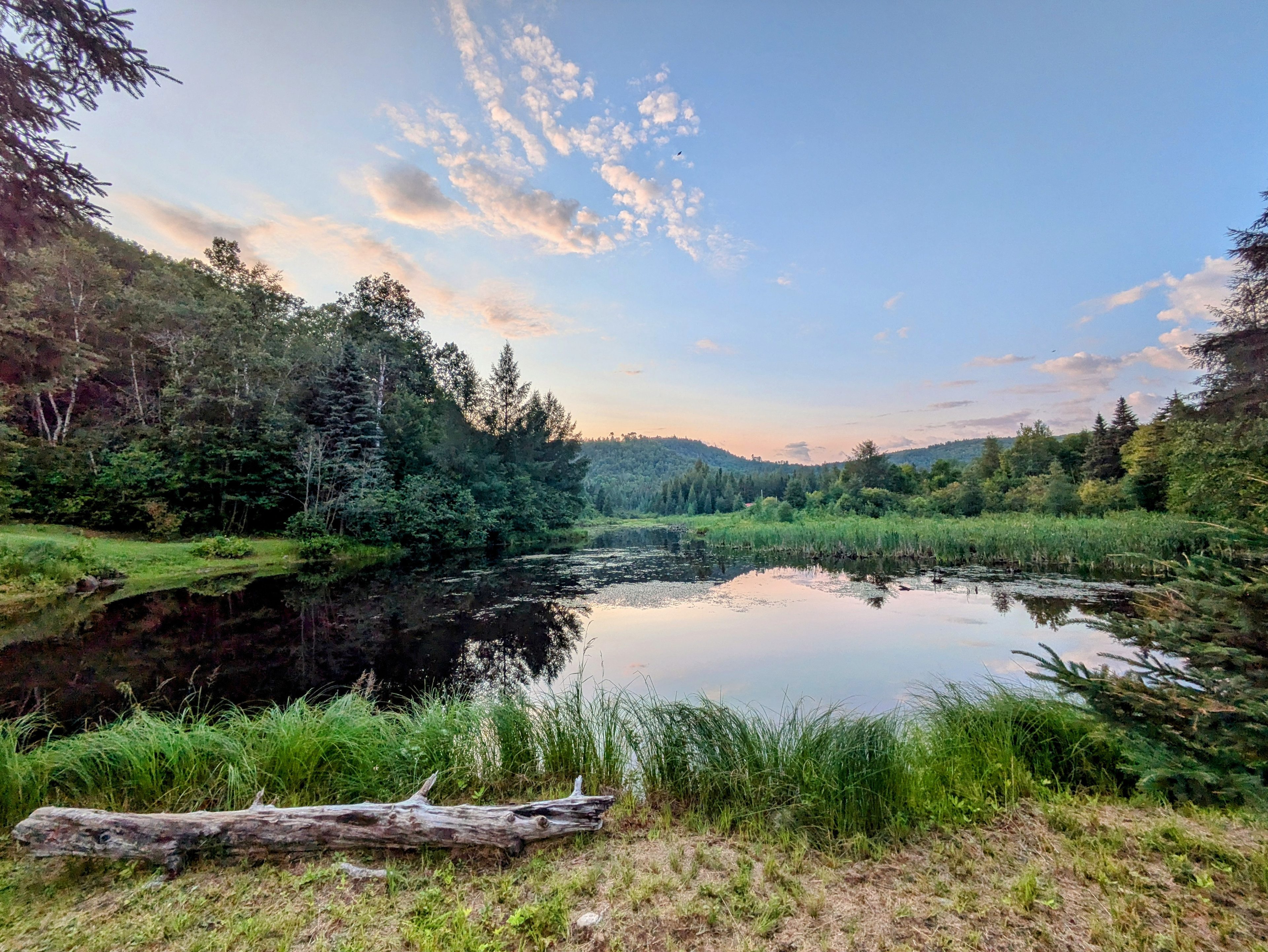 Little Forest Lake